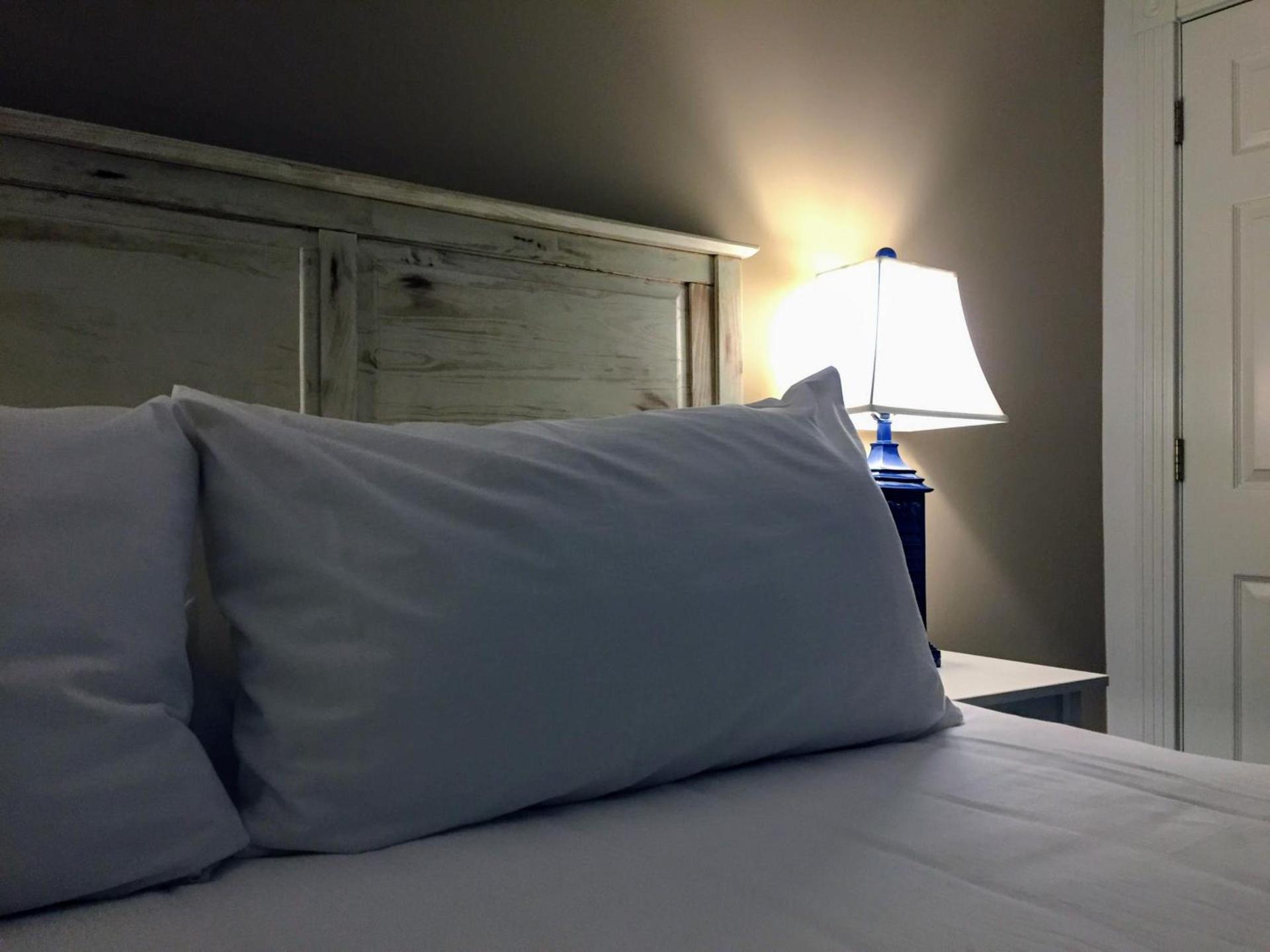 Pilgrim House photo 38
