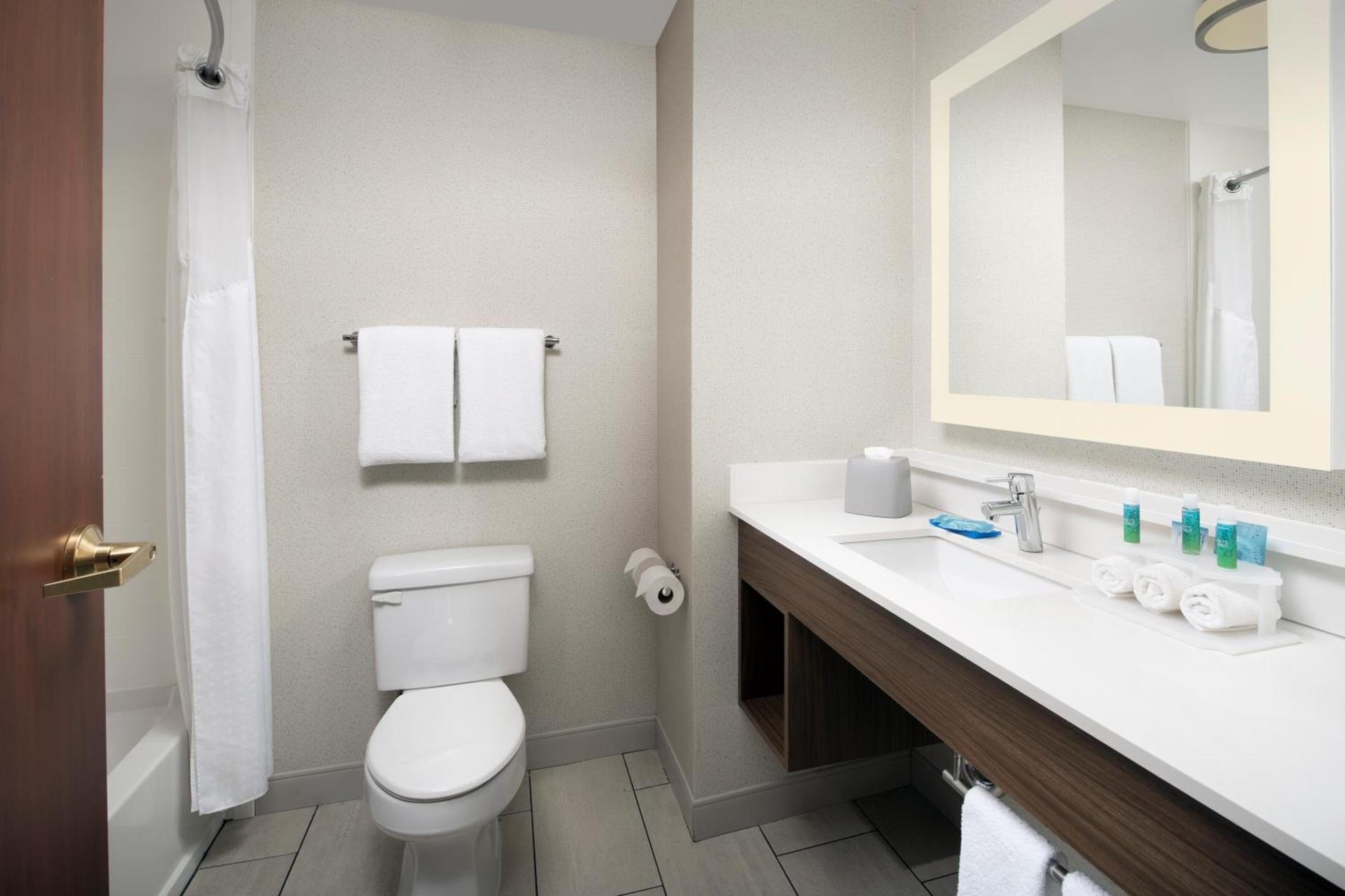 Holiday Inn Express Knoxville-Strawberry Plains by IHG photo 6