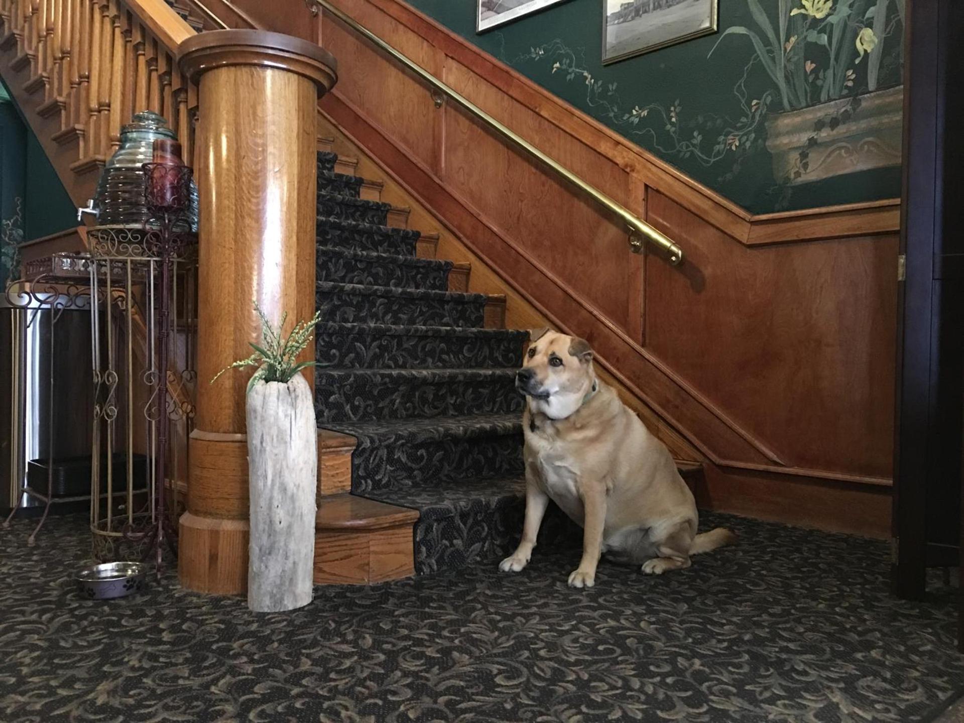 Kalispell Grand Hotel photo 14