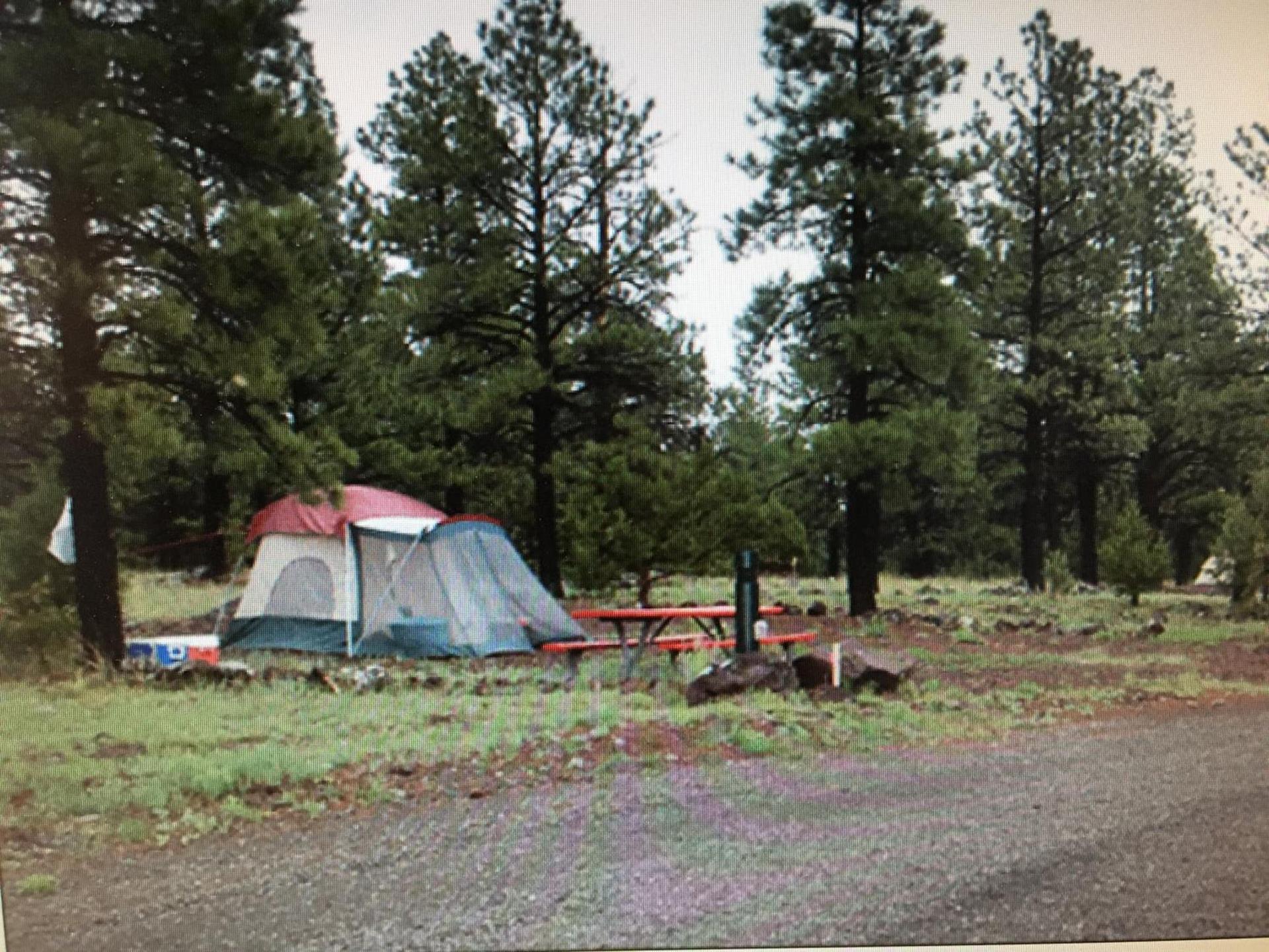 The Canyon Motel & RV Park photo 22