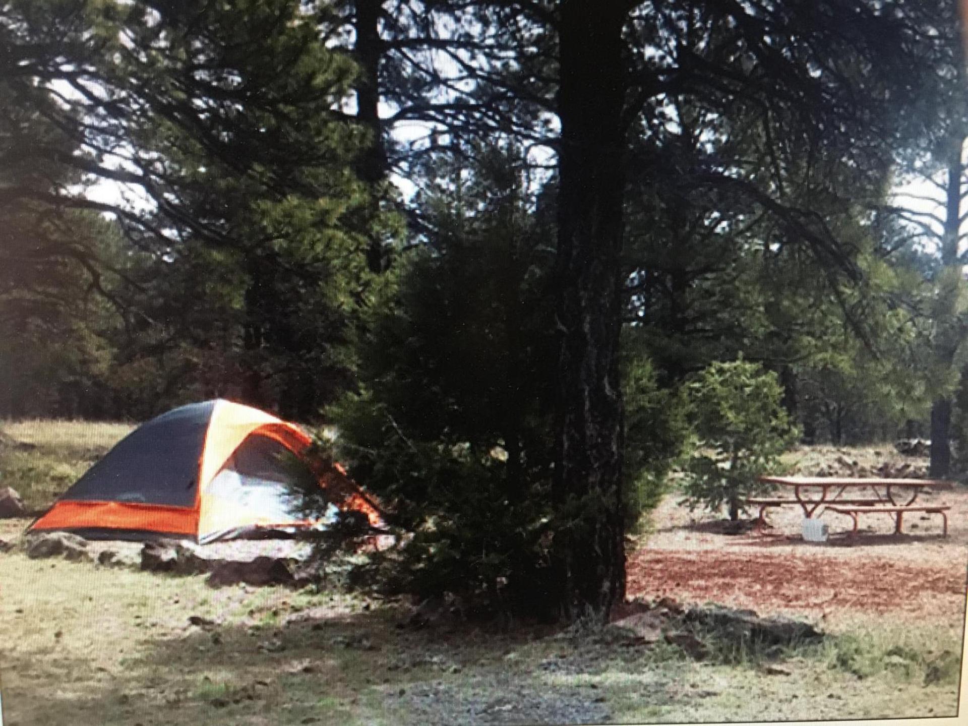 The Canyon Motel & RV Park photo 23