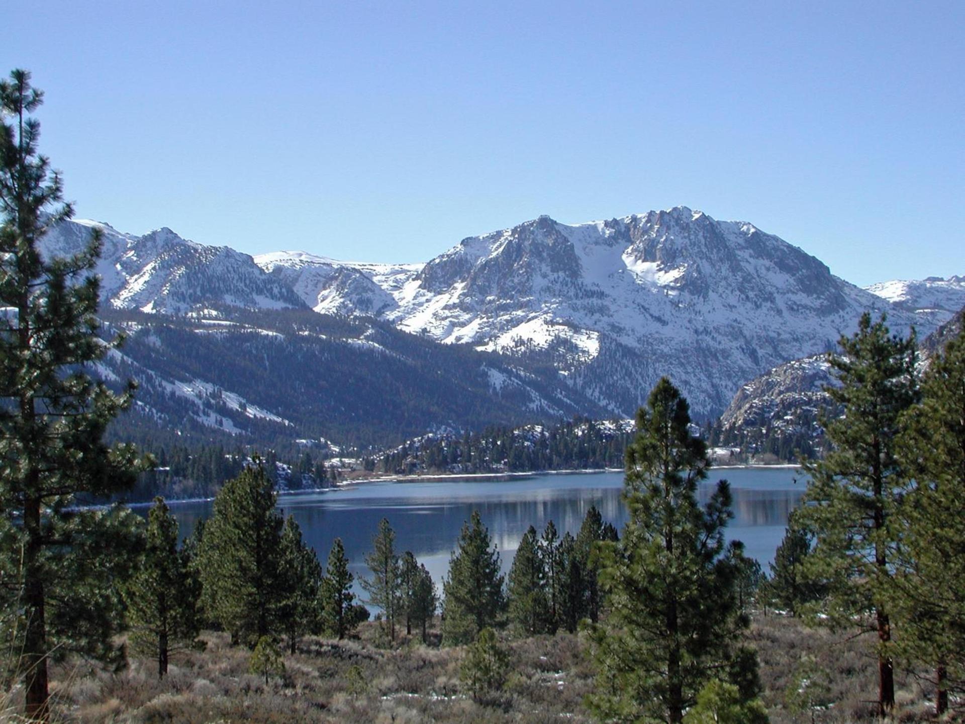 Lake Front Cabins photo 12