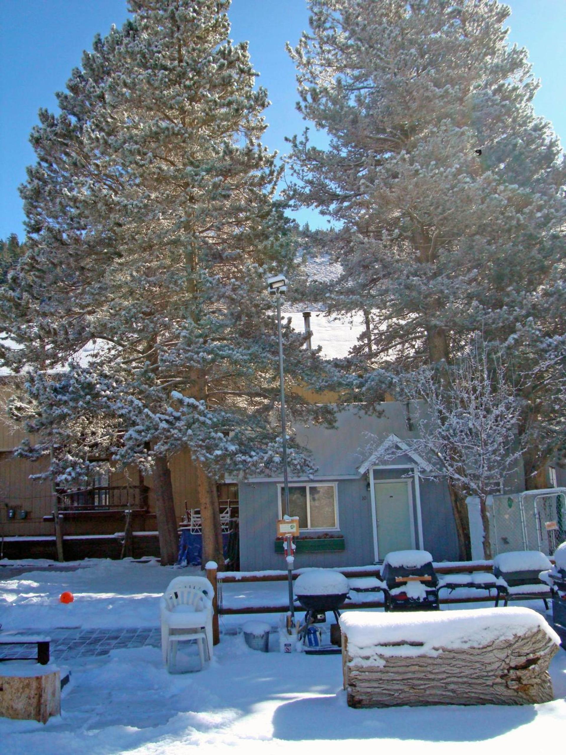 Lake Front Cabins photo 14