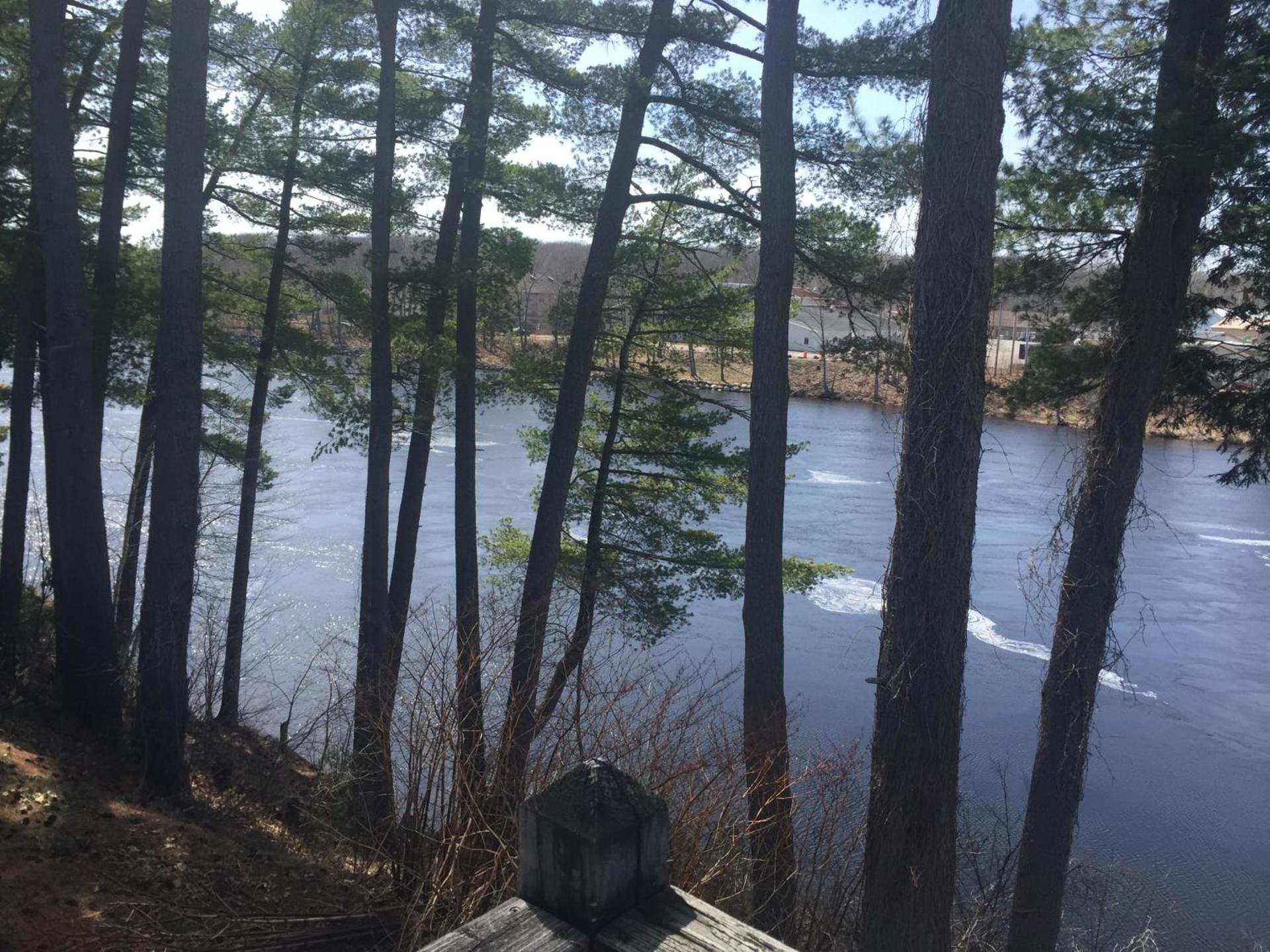 Milford Motel On the River photo 16