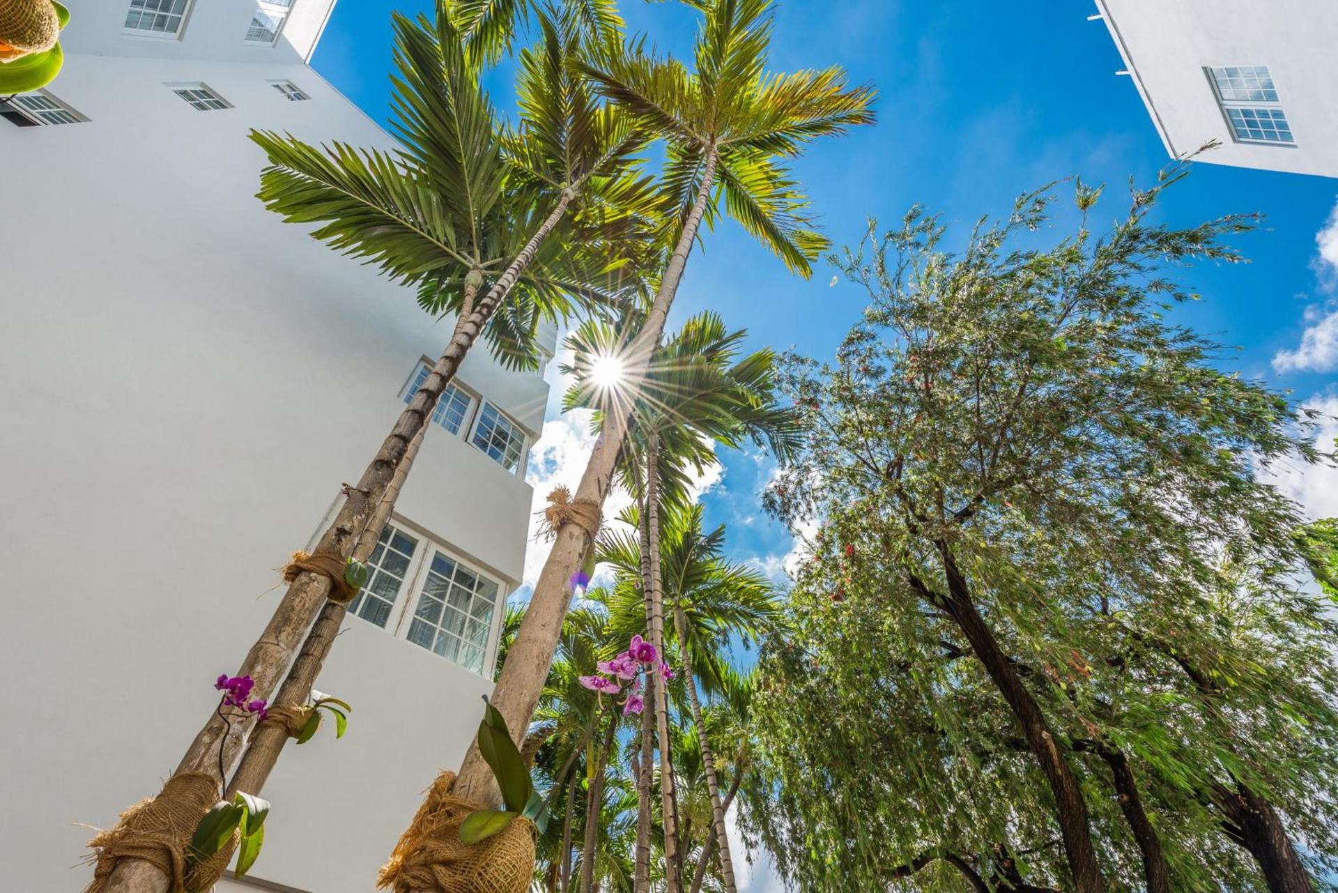 Hotel Belleza photo 9