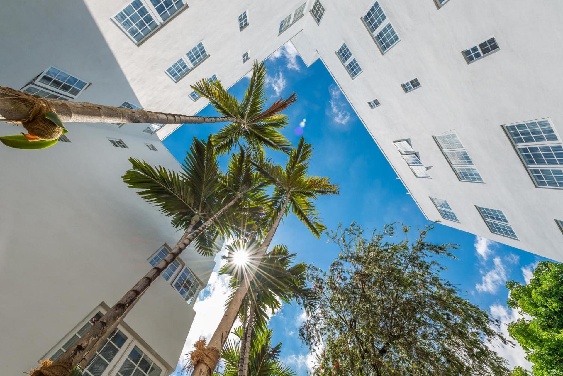 Hotel Belleza photo 10