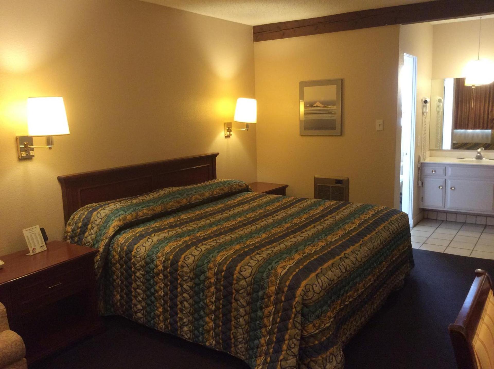 Torch Lite Lodge photo 9