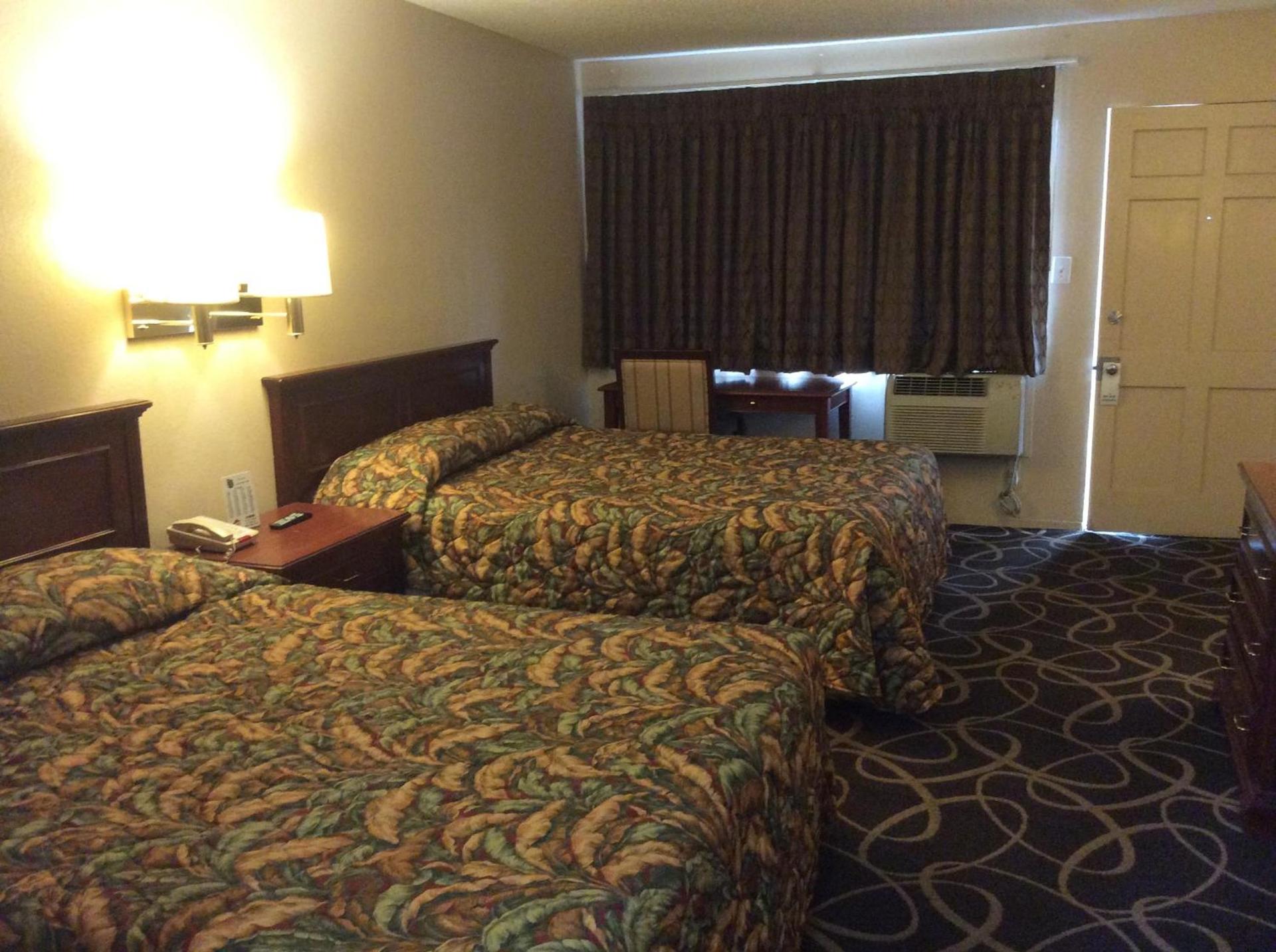 Torch Lite Lodge photo 11