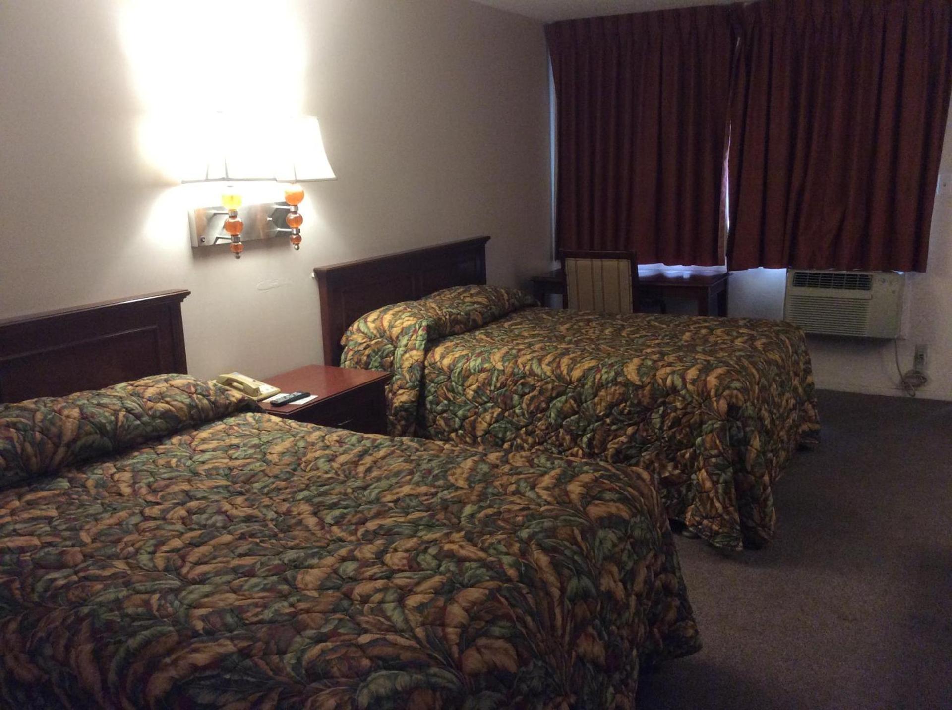 Torch Lite Lodge photo 14