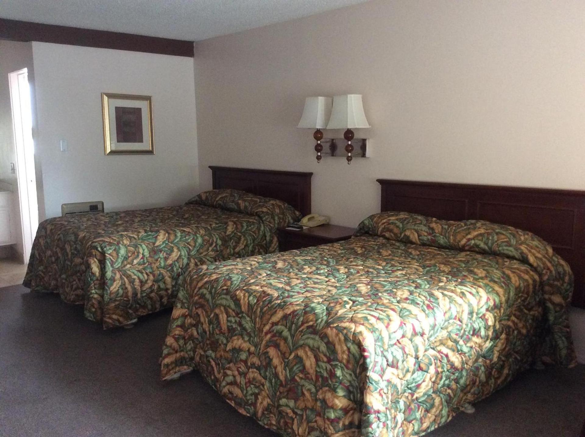 Torch Lite Lodge photo 17