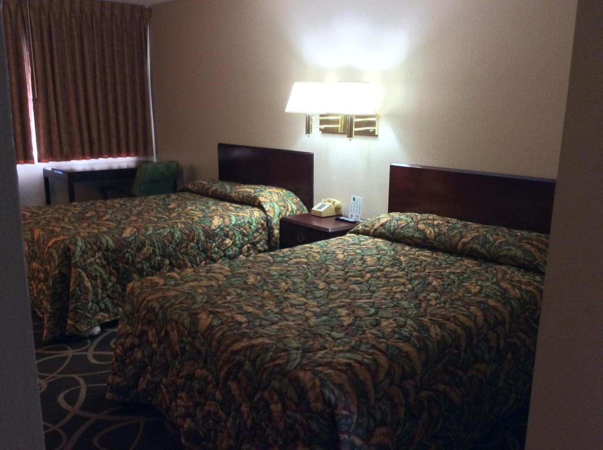 Torch Lite Lodge photo 21