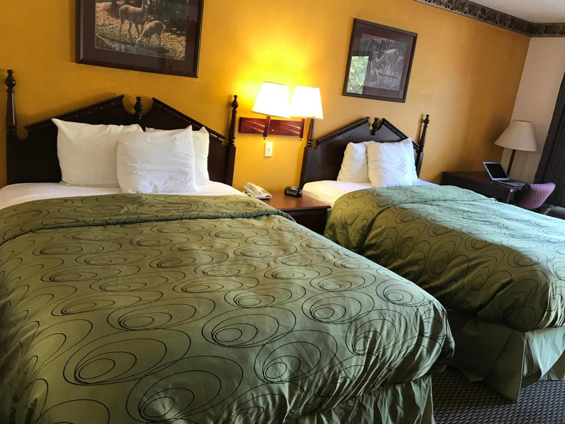 Clairmont Inn & Suites - Warren photo 12