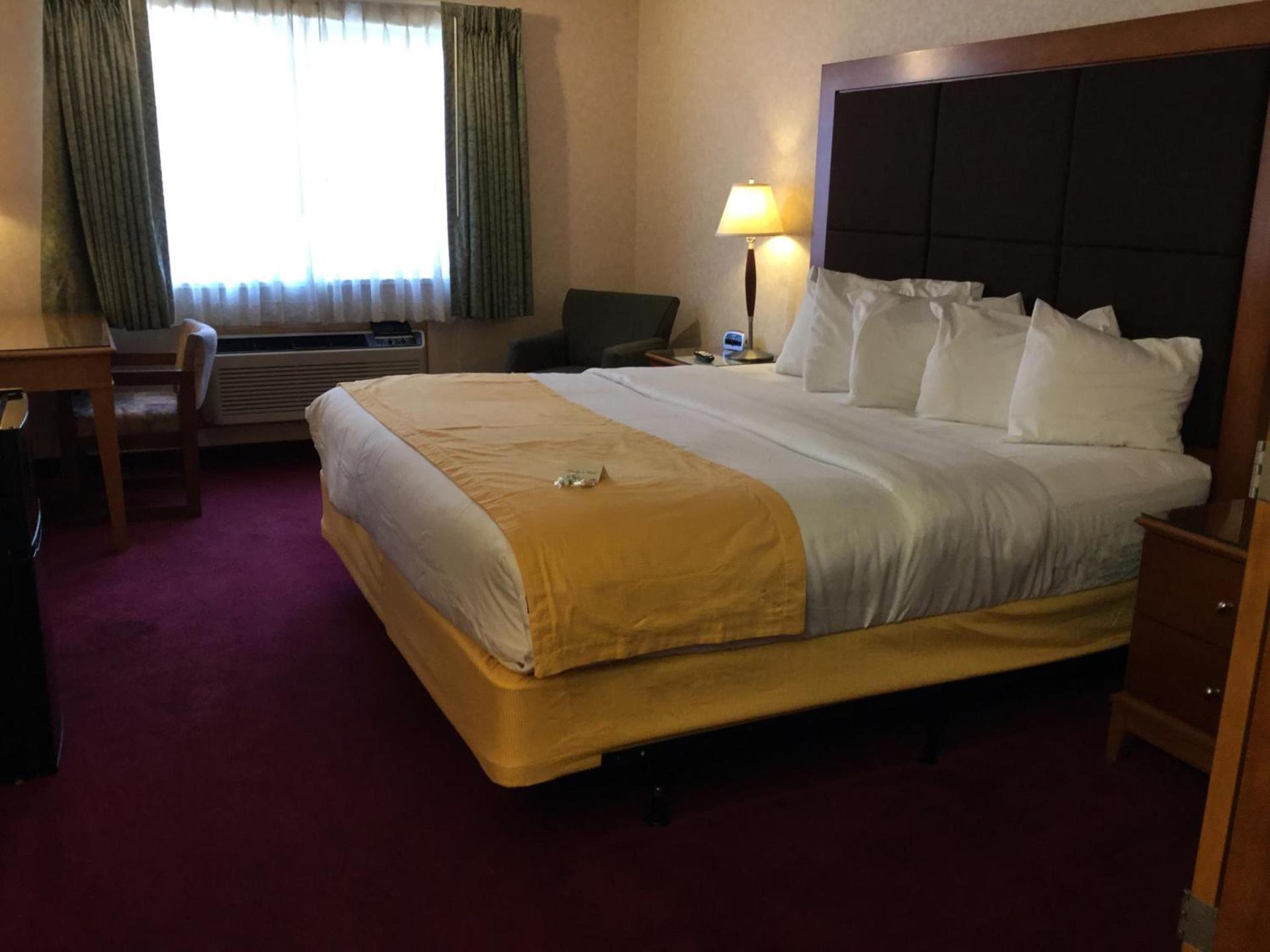 Best Western Montrose Inn photo 11