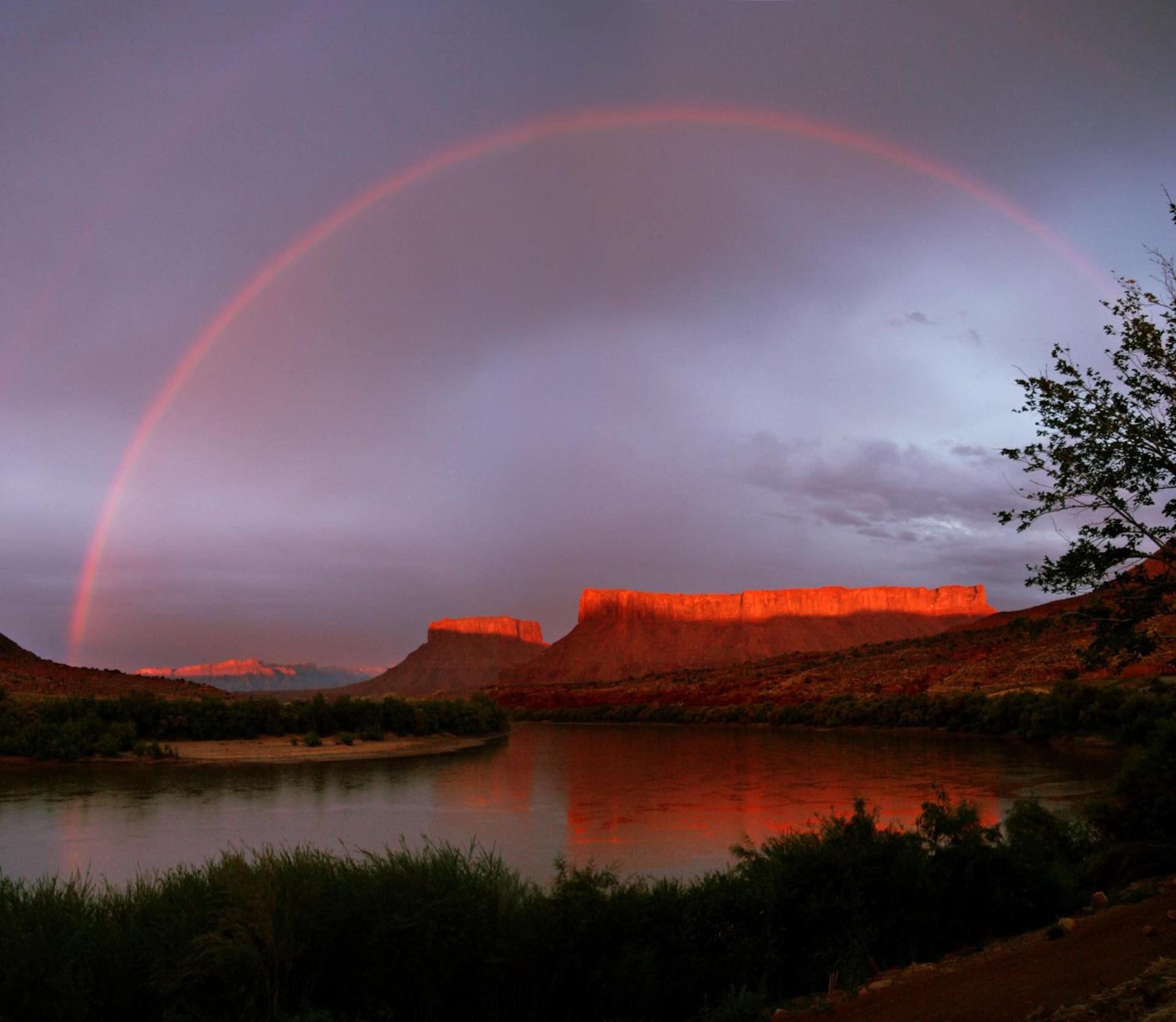 Red Cliffs Lodge Moab photo 22