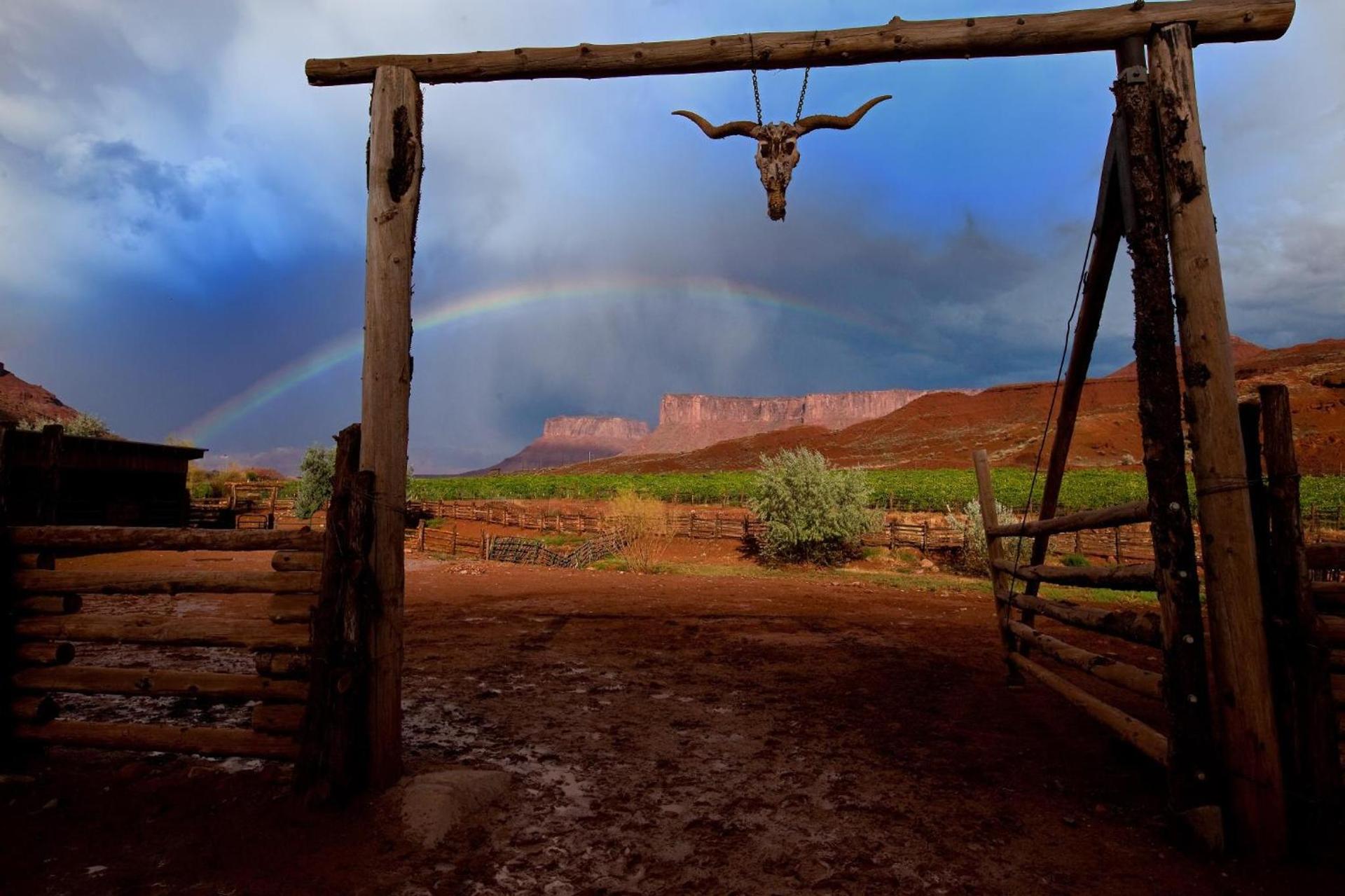 Red Cliffs Lodge Moab photo 23
