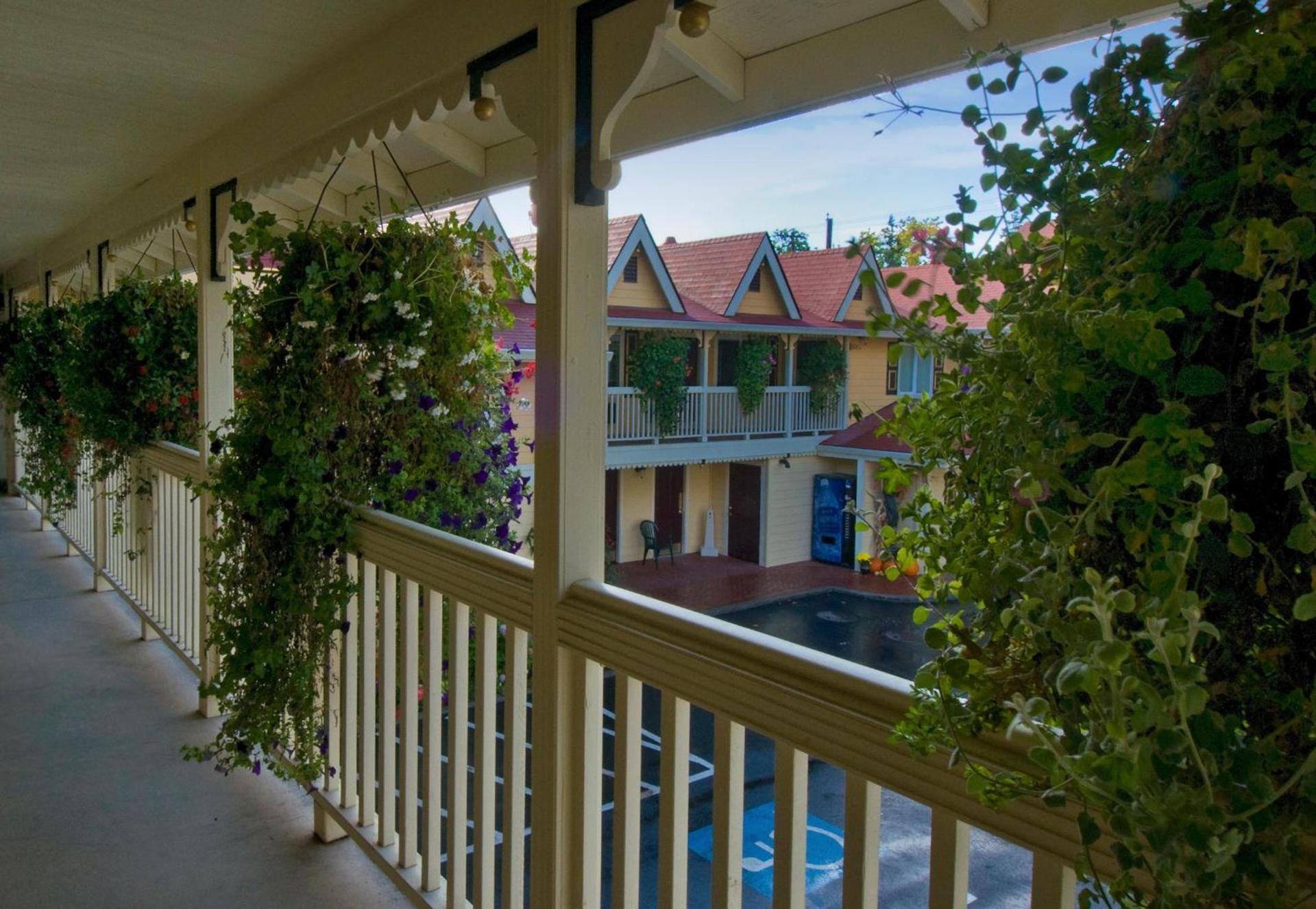 Silverton Inn & Suites photo 18