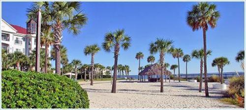 Harborside at Charleston Harbor Resort and Marina photo 26