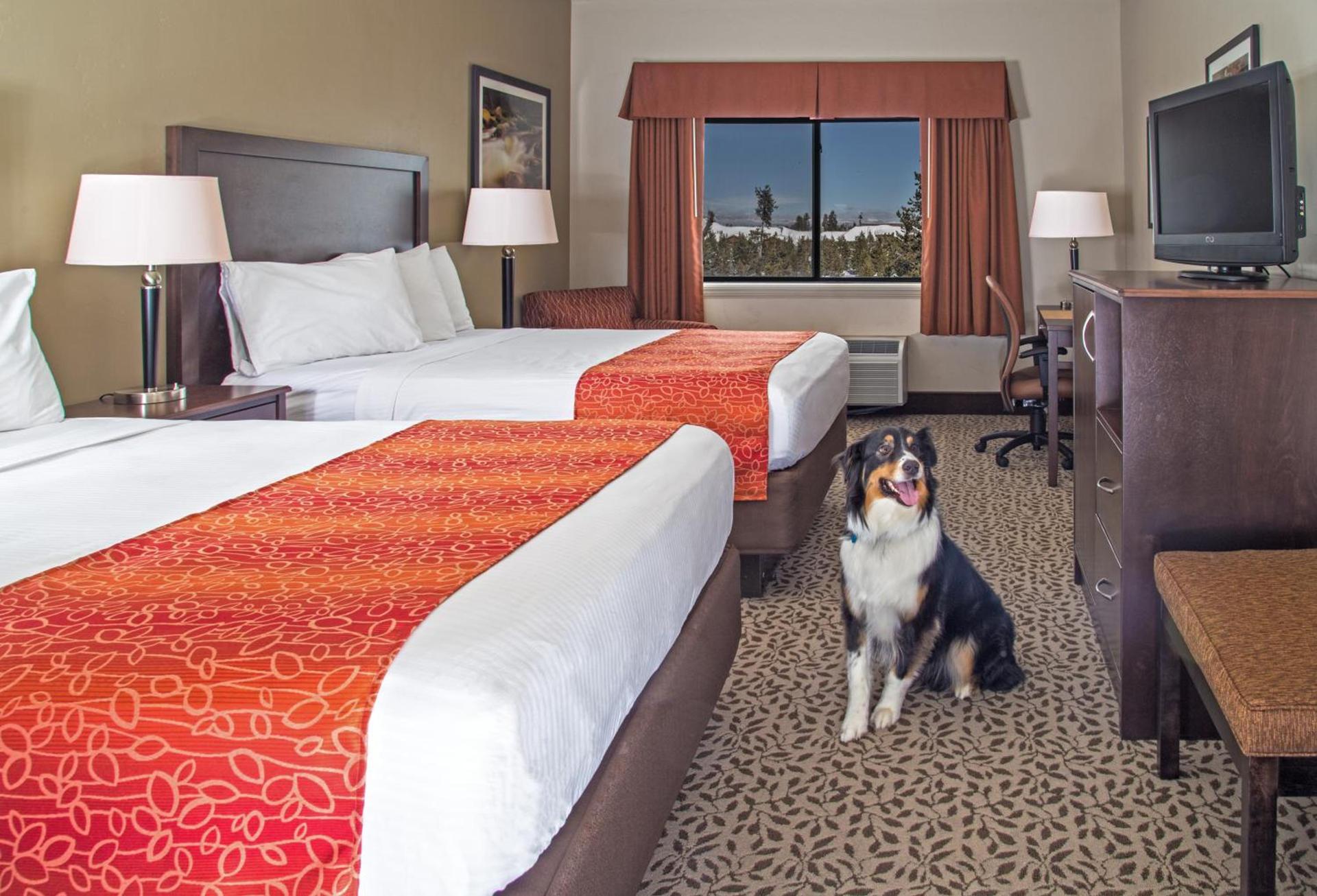 Gray Wolf Inn & Suites photo 39