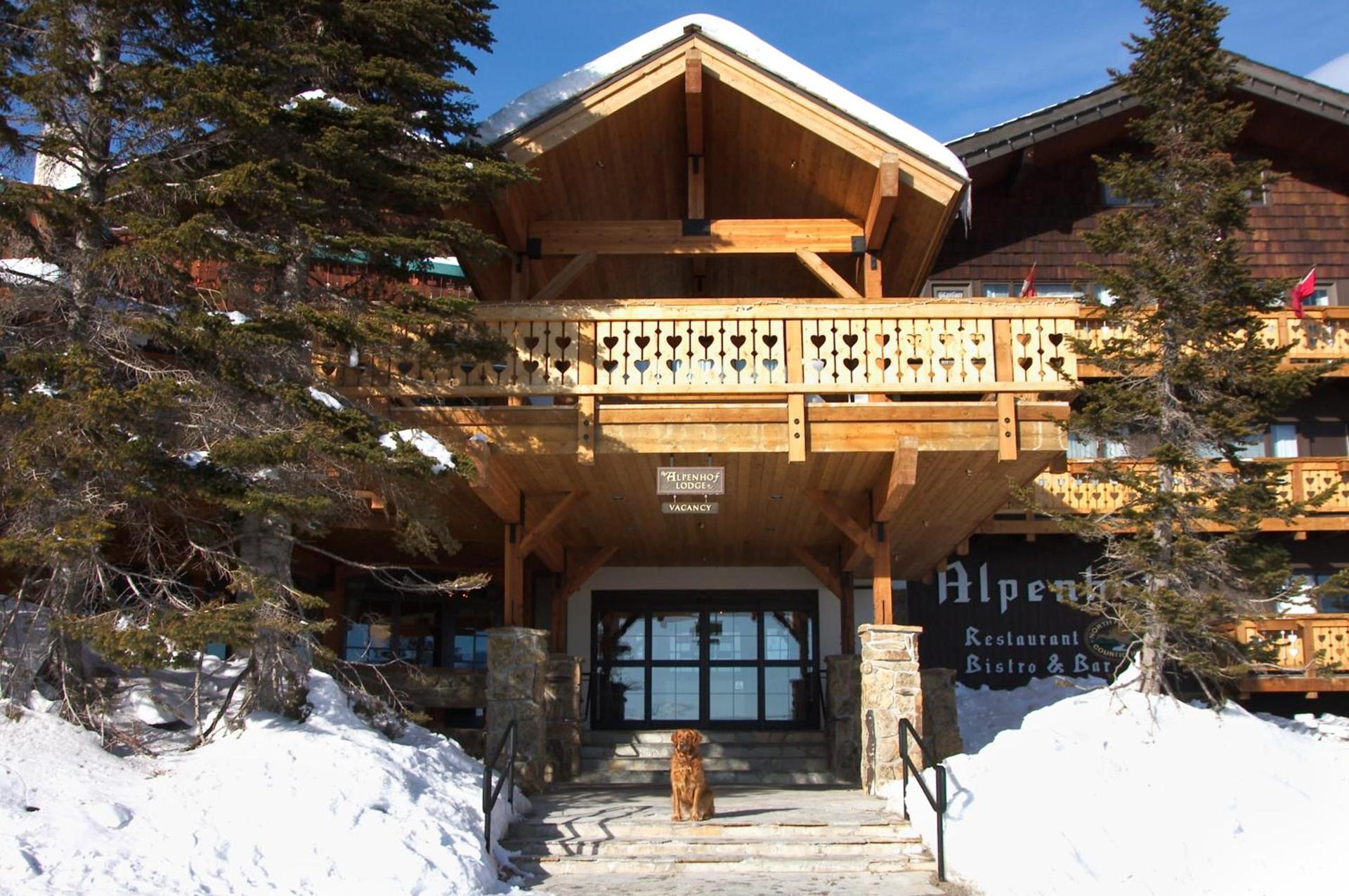 The Alpenhof photo 21