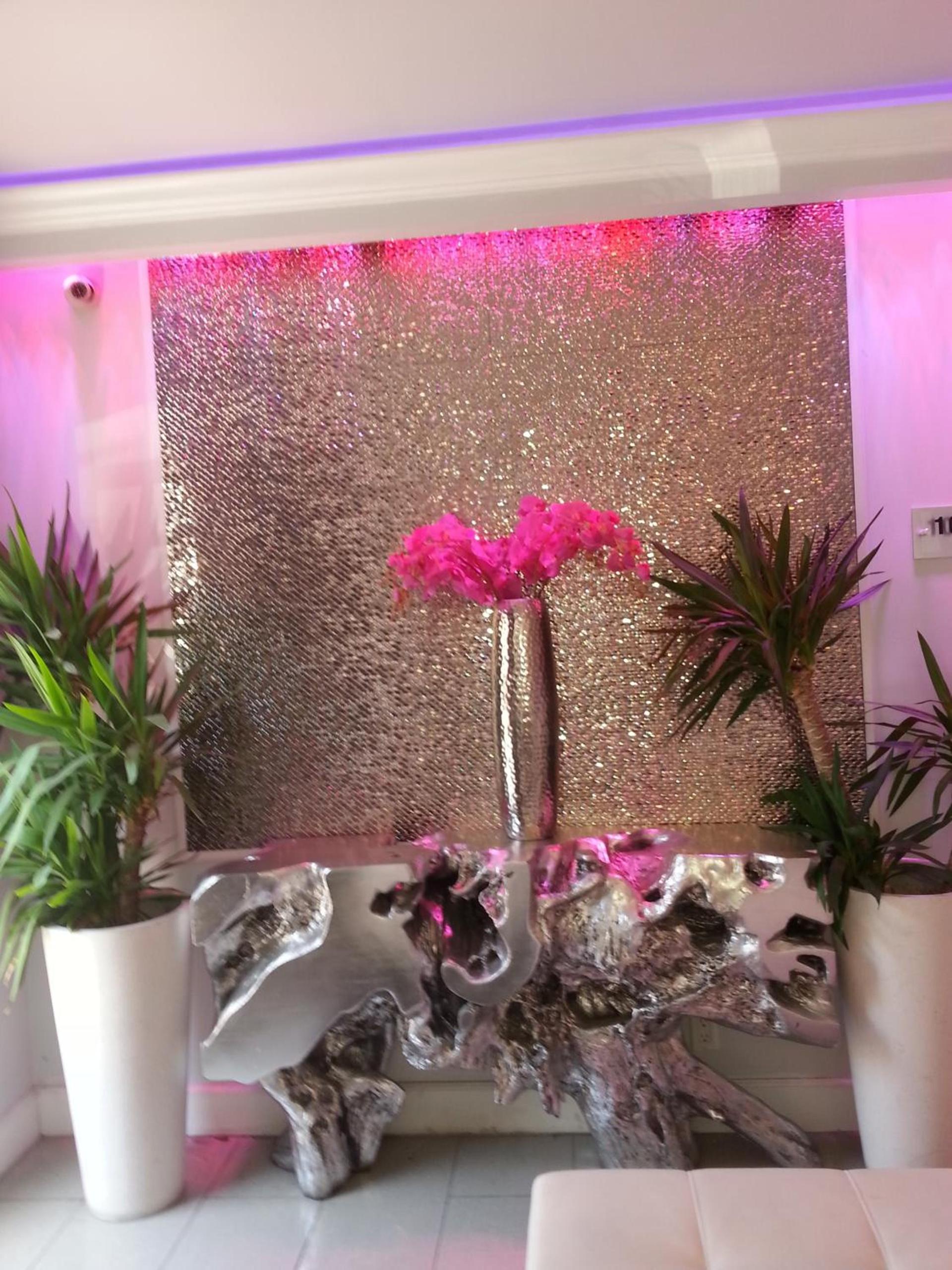 Hollywood VIP Hotel photo 12