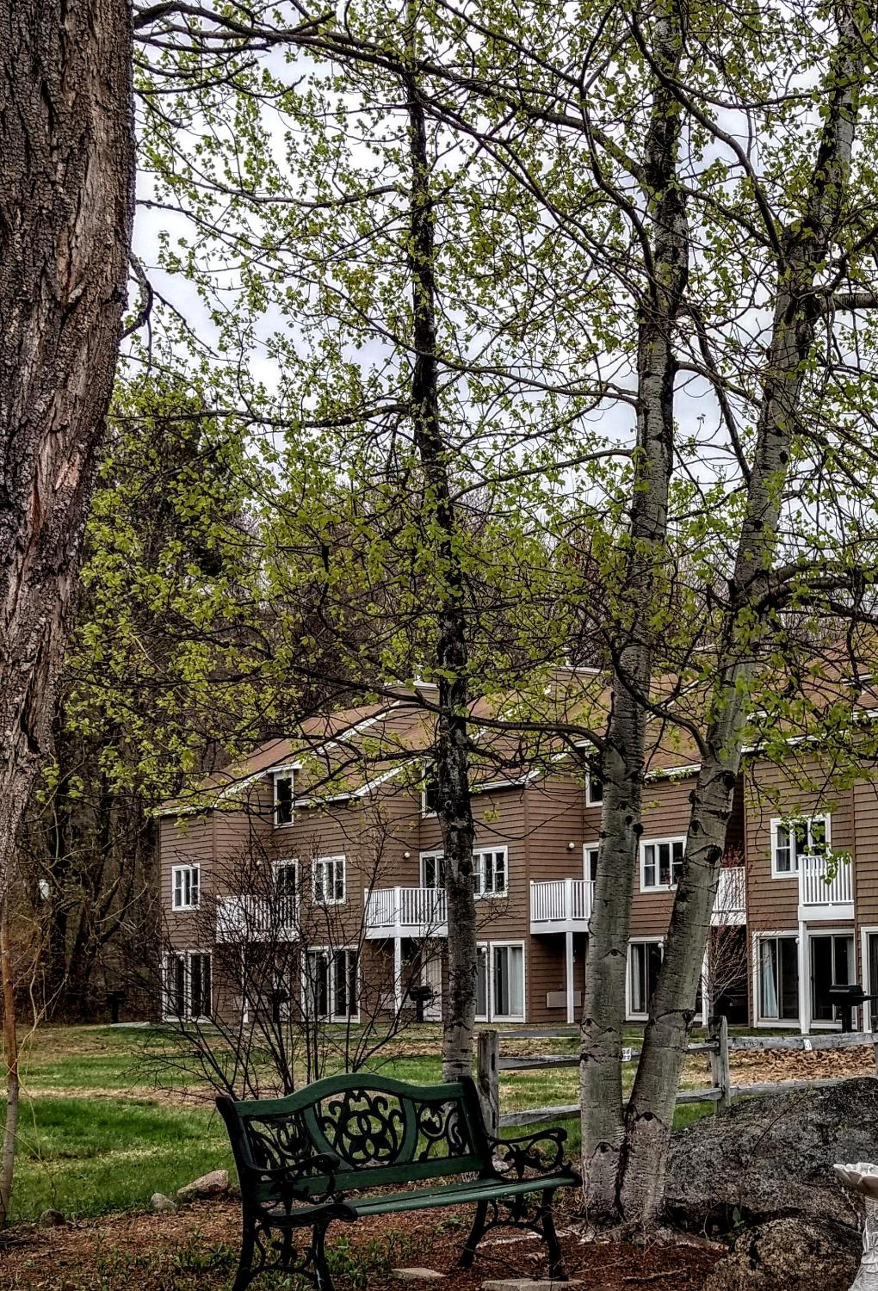 Cathedral Ledge Resort photo 18