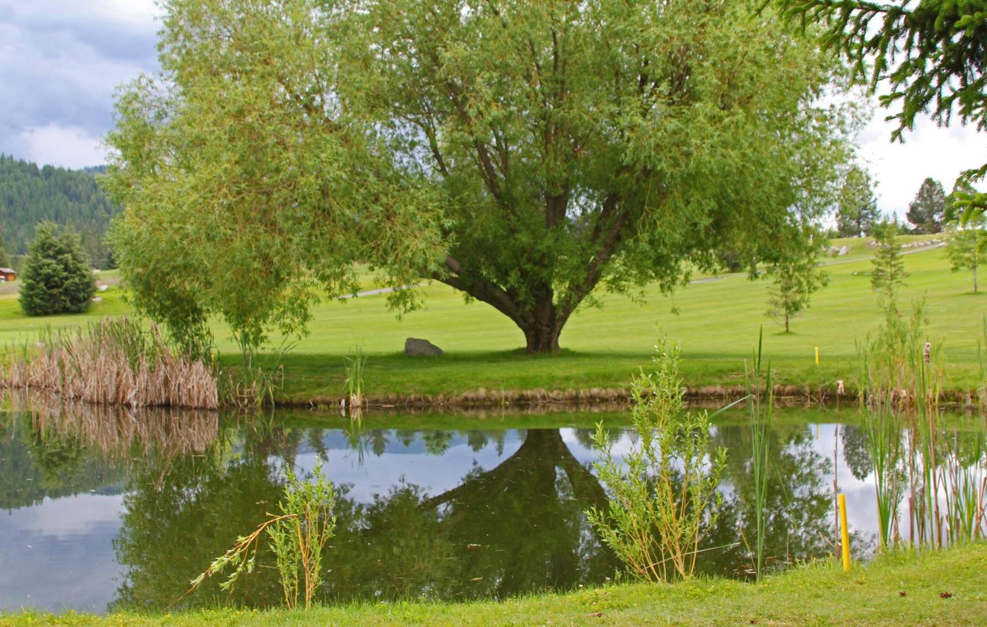 Stoneridge Resort photo 39