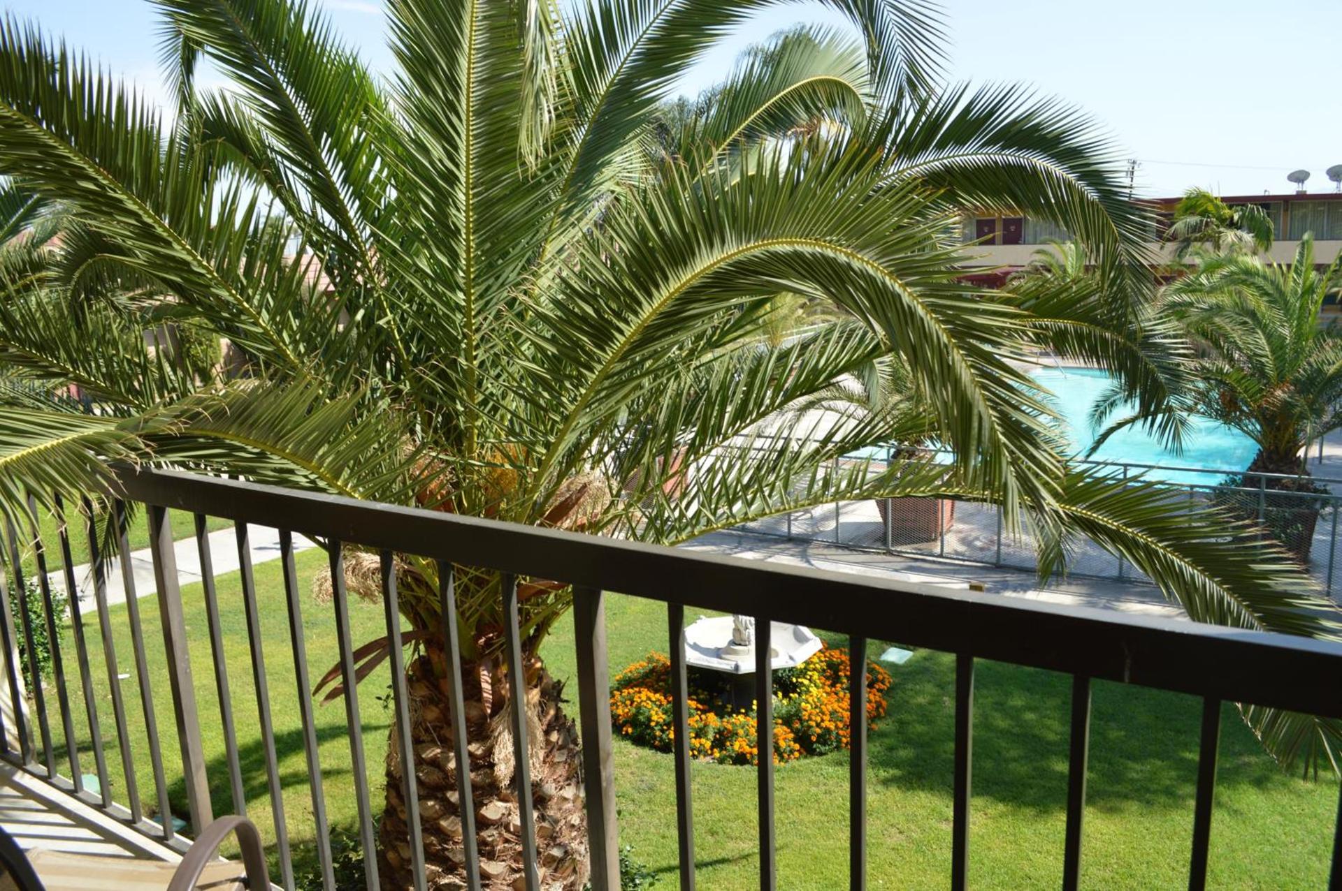 Ontario Airport Inn photo 4