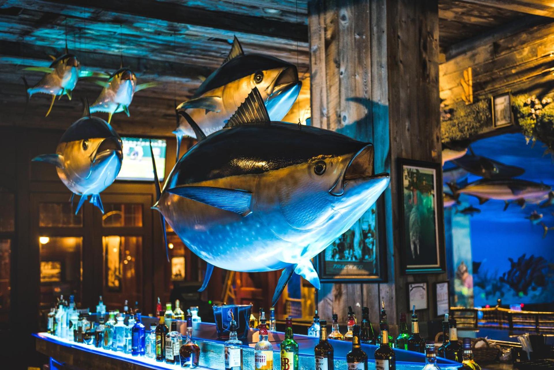 Big Cypress Lodge photo 43
