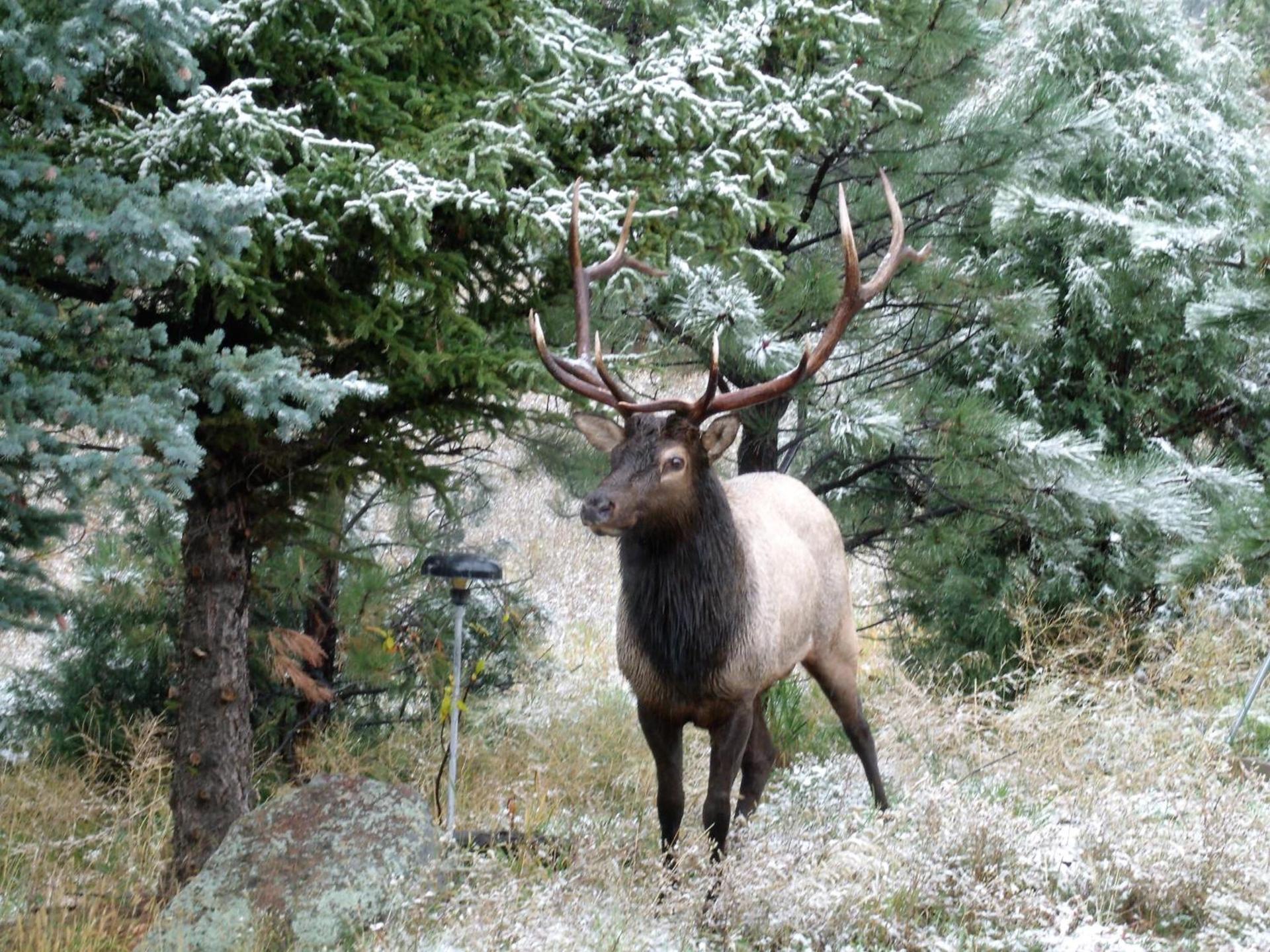 Estes Lake Lodge photo 32