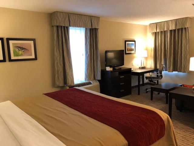 Inn at Clinton photo 16
