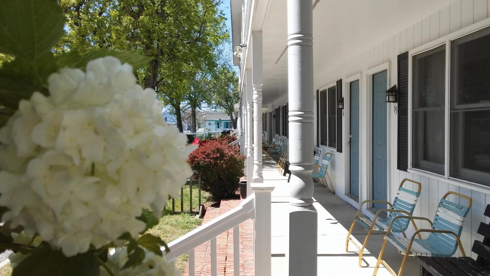 Sea Shell Motel photo 31