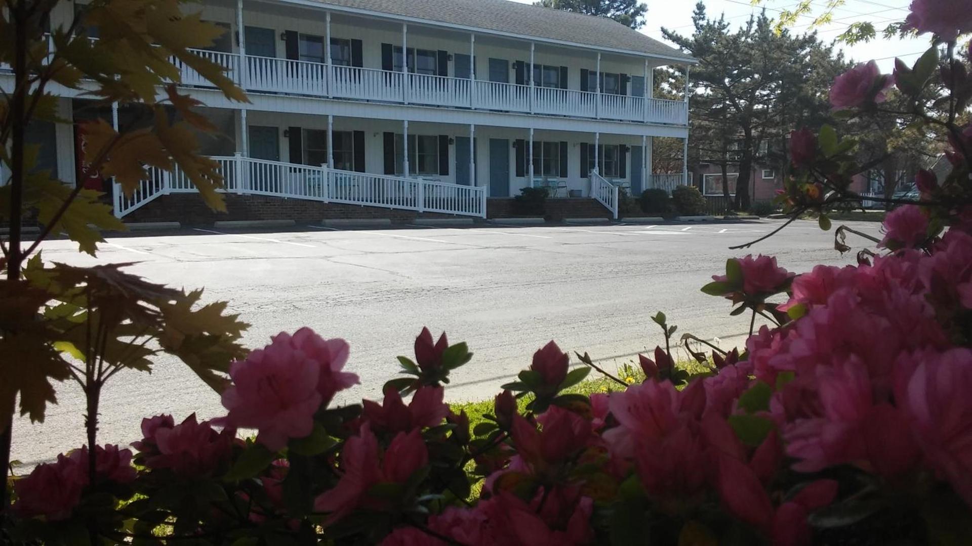 Sea Shell Motel — hotel in Chincoteague