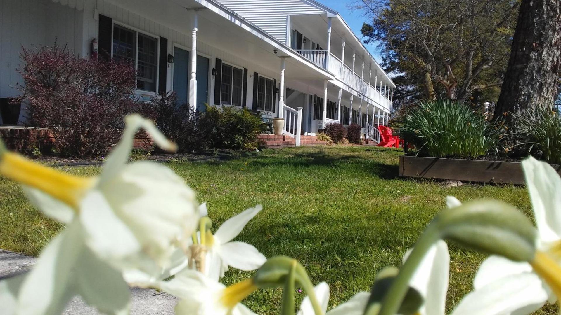 Sea Shell Motel photo 32