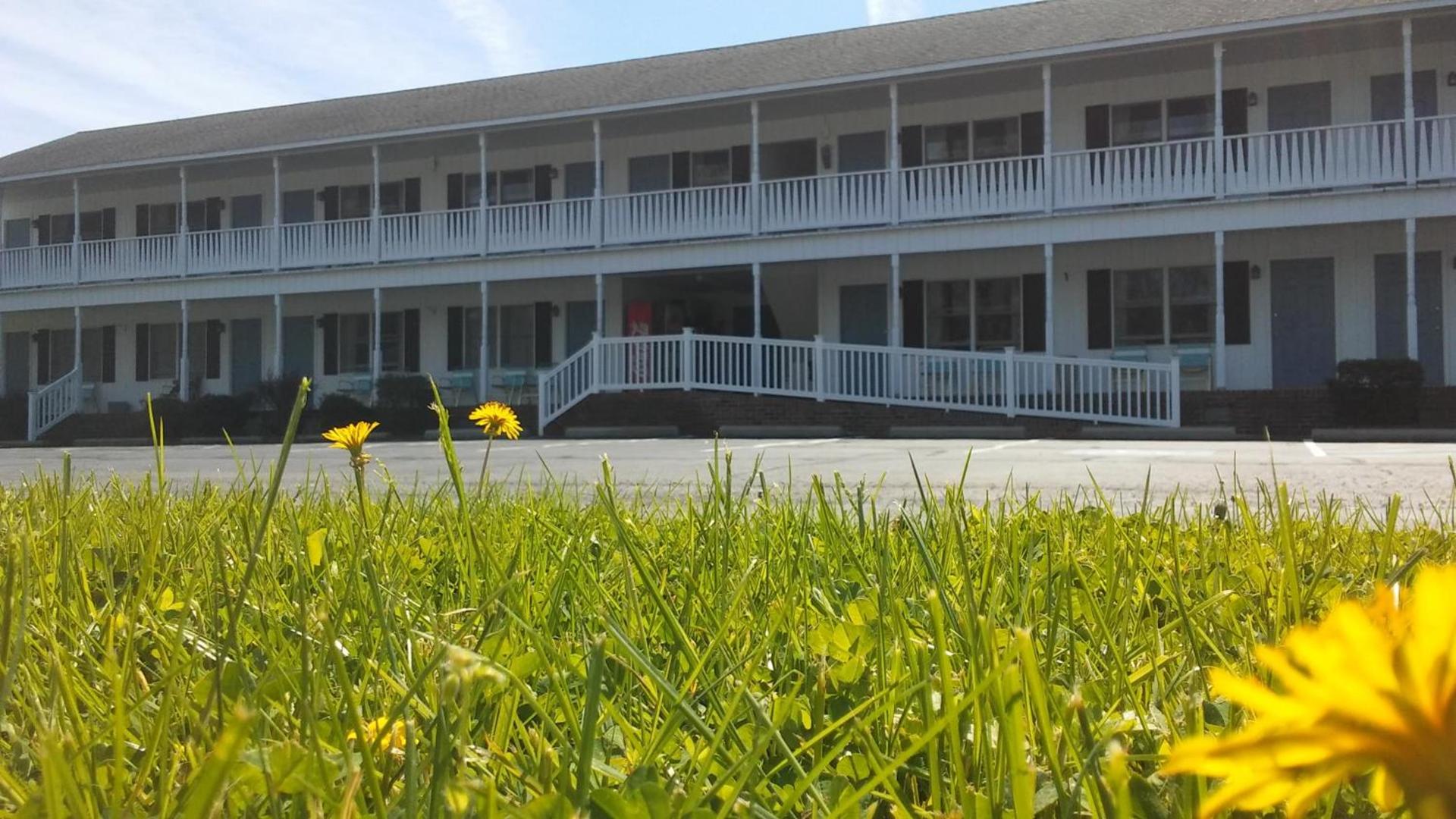 Sea Shell Motel photo 3