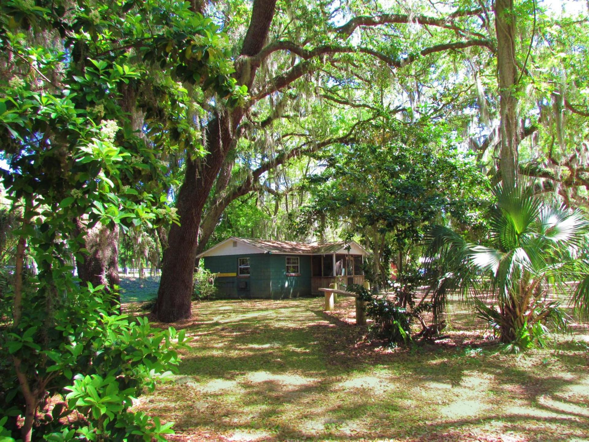 The Yearling Cabins photo 19