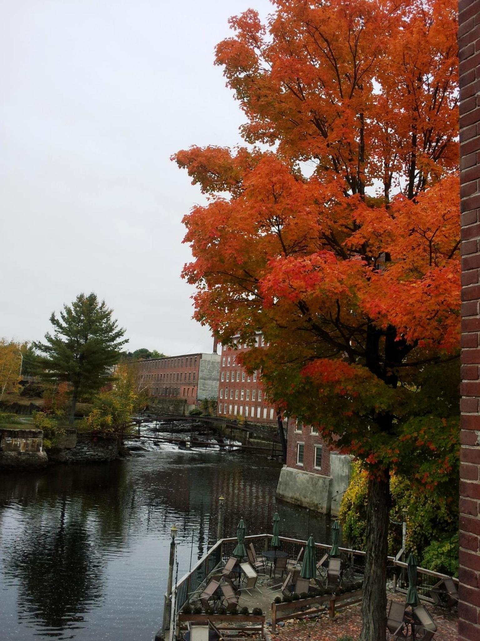 The Common Man Inn & Restaurant photo 32