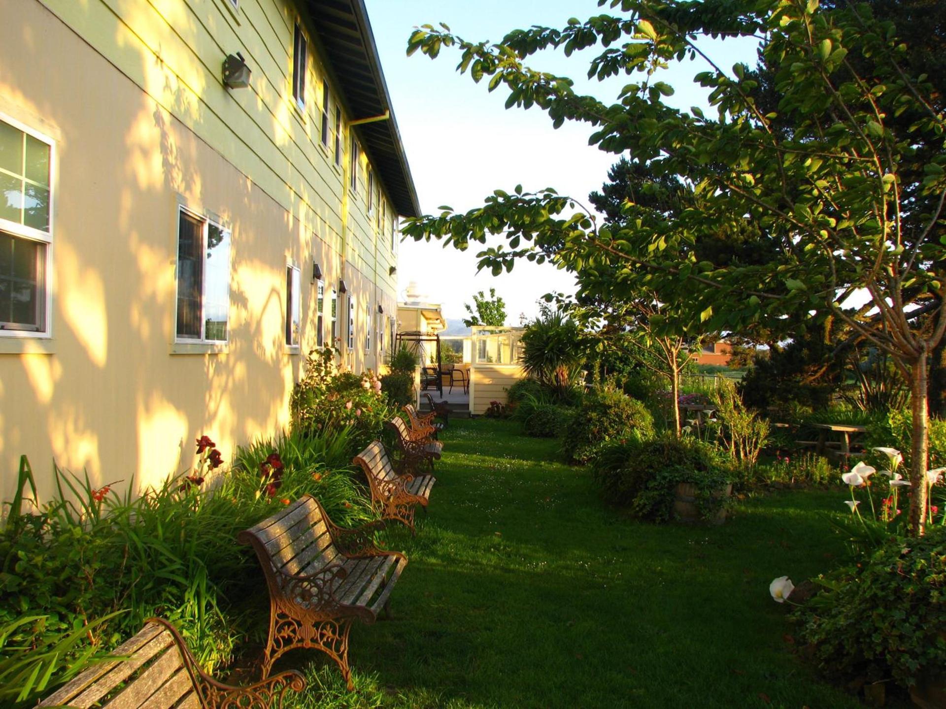 Pacific City Inn photo 5
