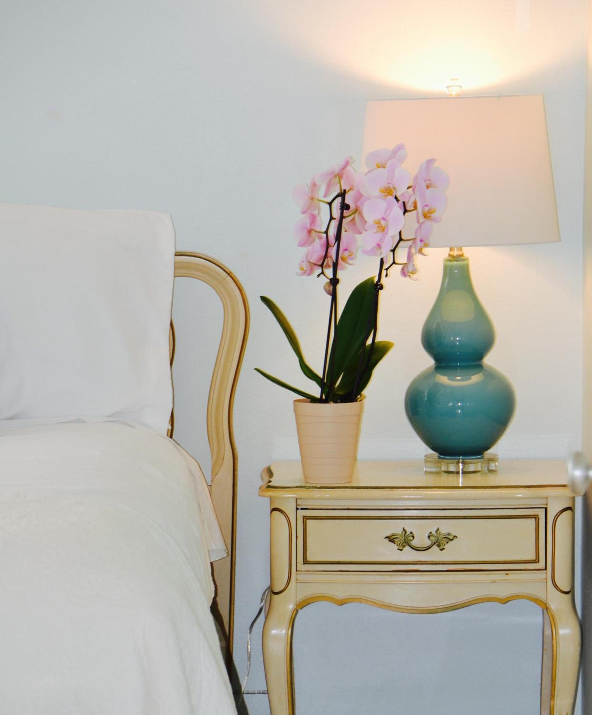 Sea Turtle Inn photo 73