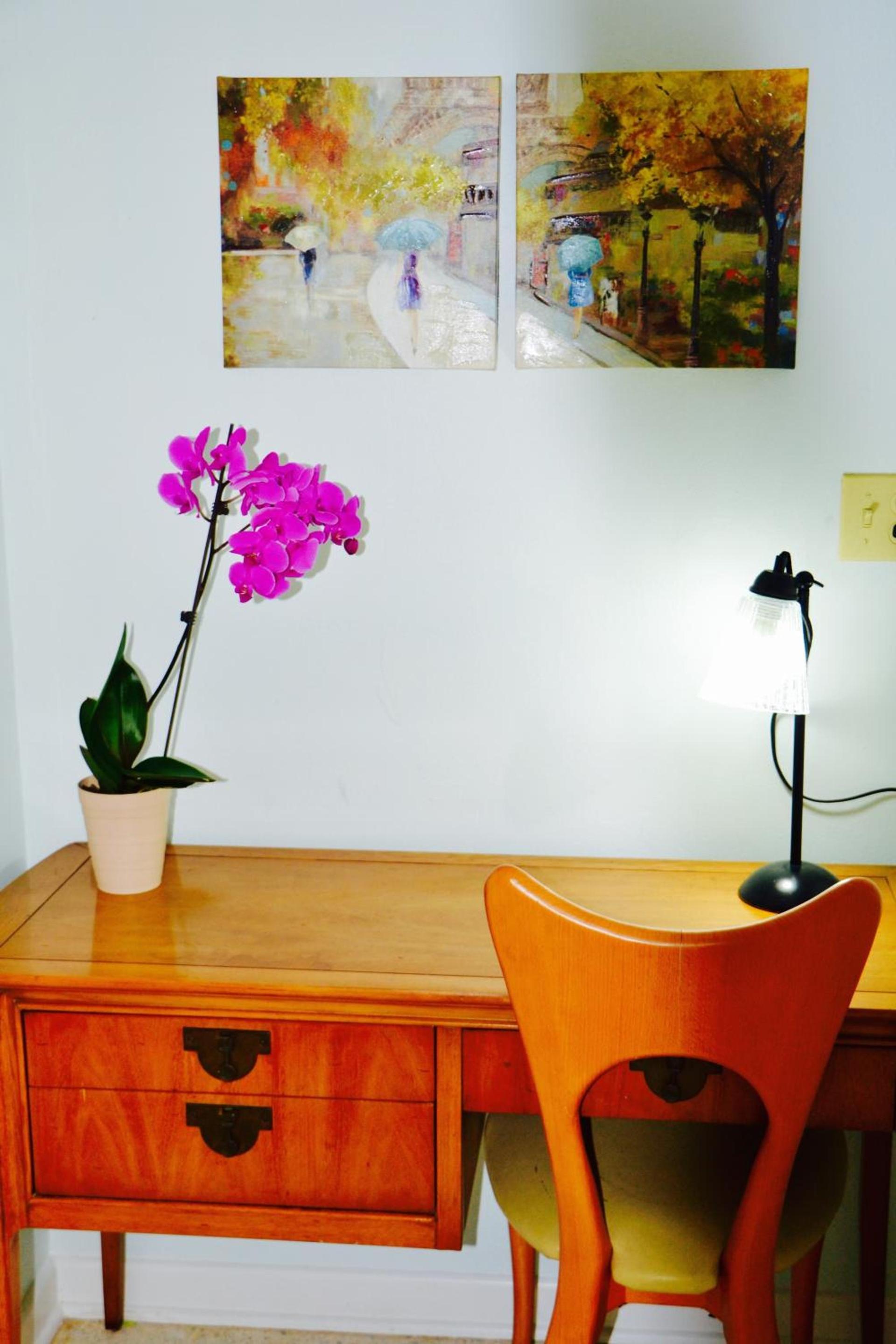 Sea Turtle Inn photo 67