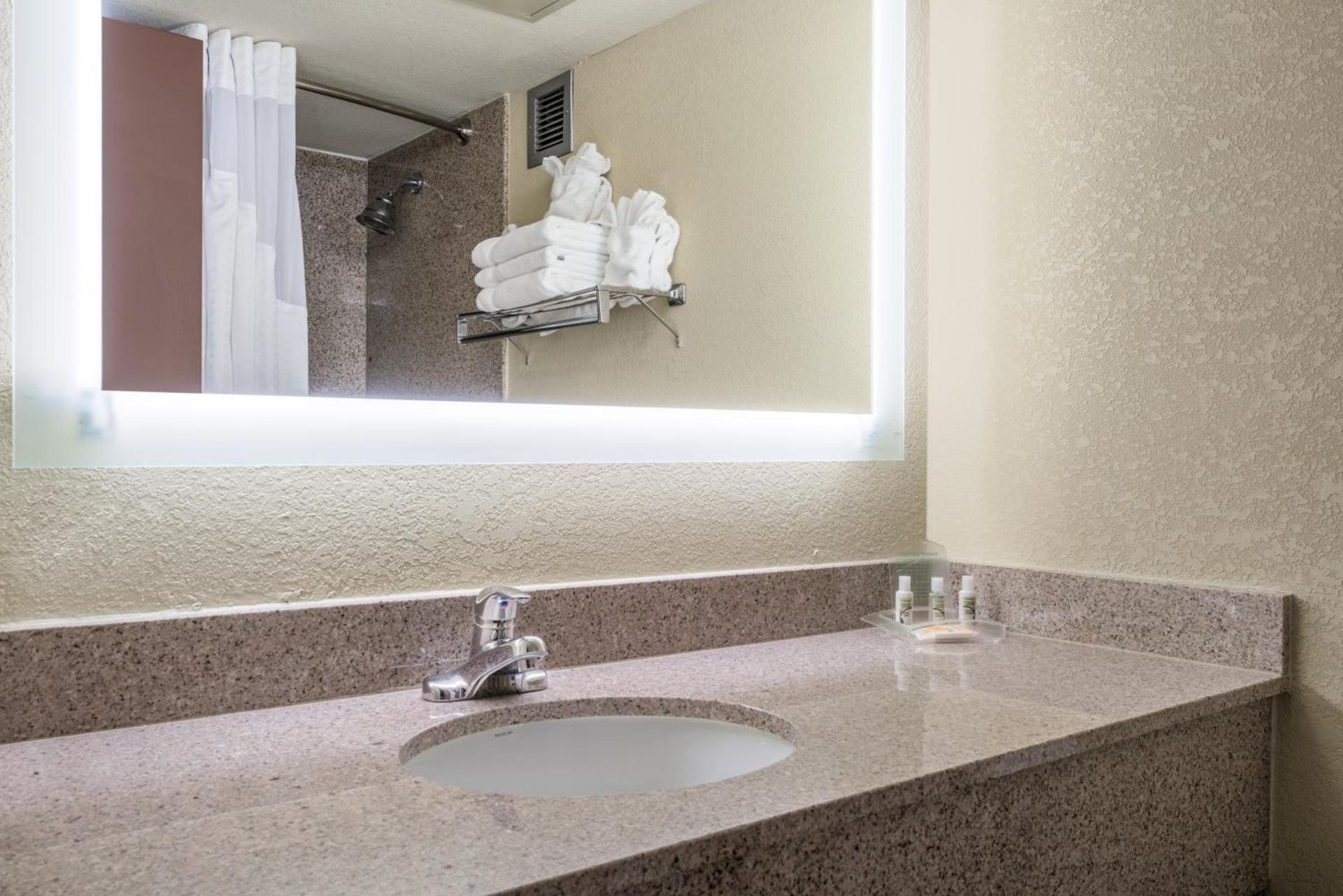 Holiday Inn Morgantown - Reading Area by IHG photo 13