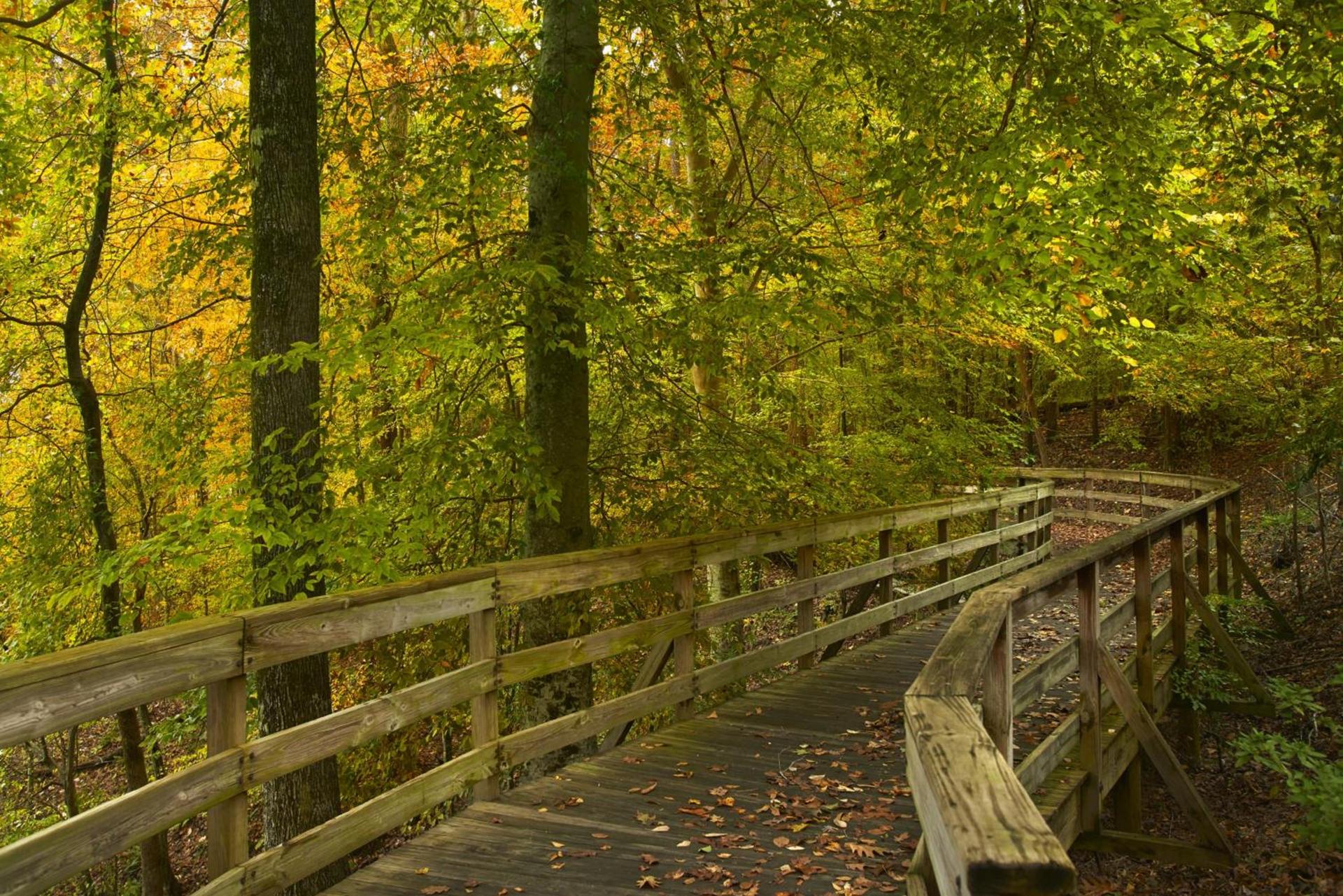 Atlanta Evergreen Lakeside Resort photo 38