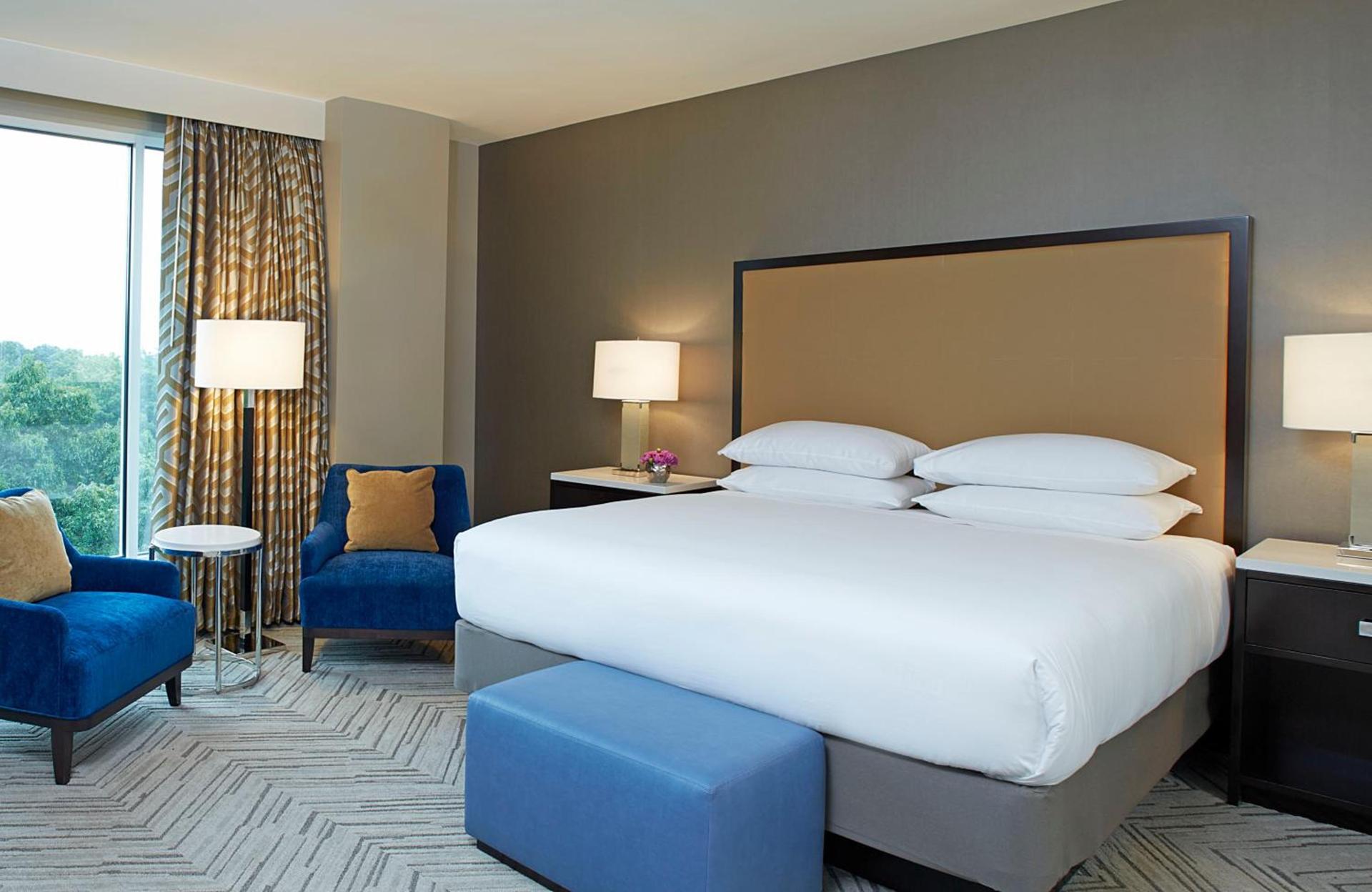 Hyatt Regency Atlanta Perimeter at Villa Christina photo 20