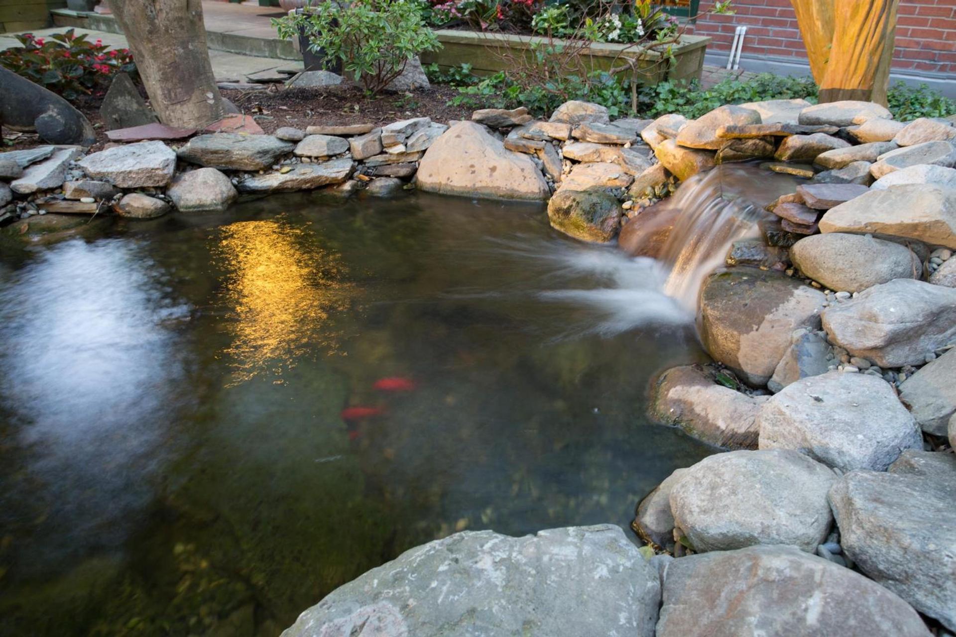 The Bellmoor Inn and Spa photo 37