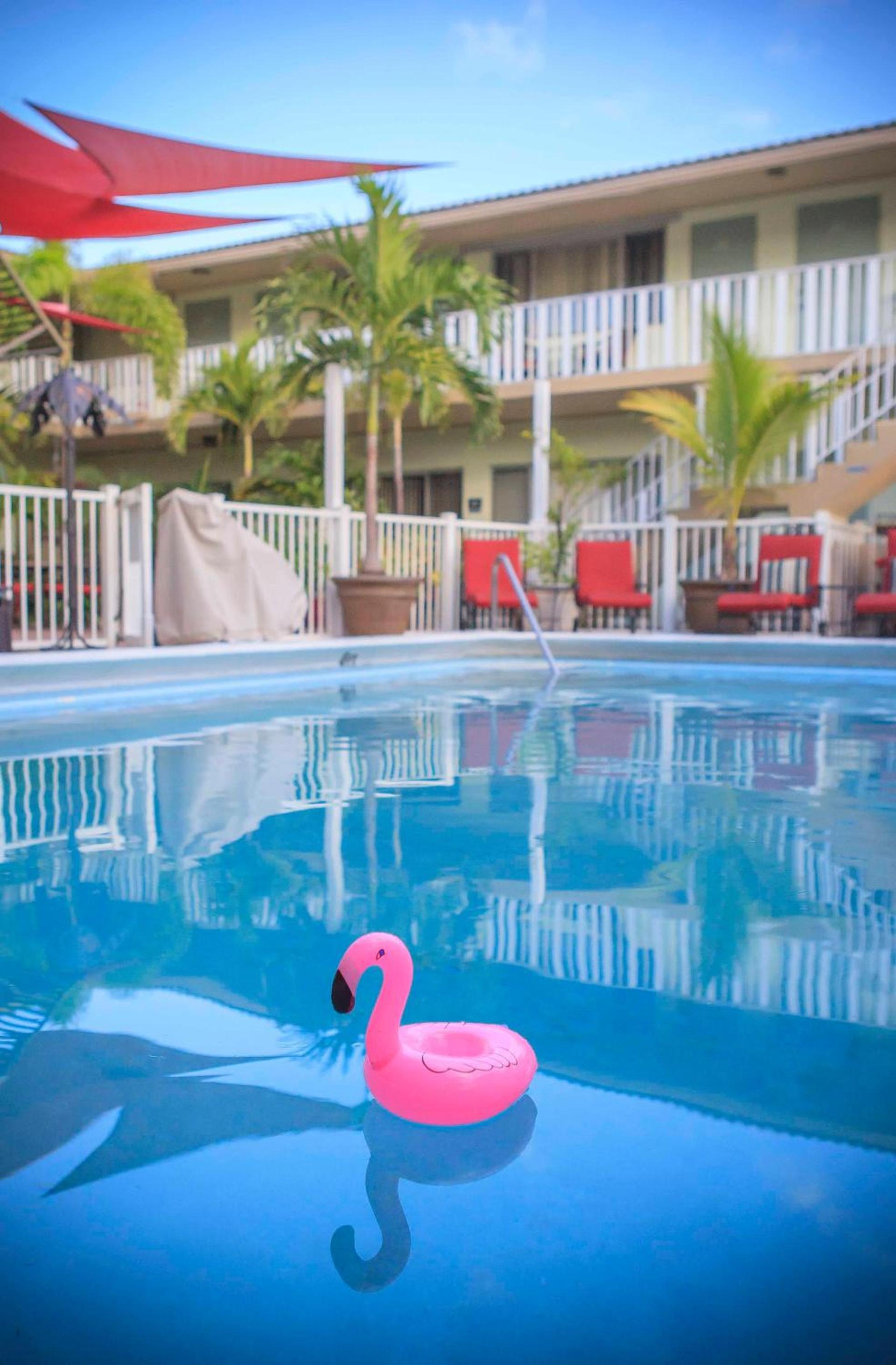 The Big Coconut Guesthouse - Gay Men's Resort photo 11
