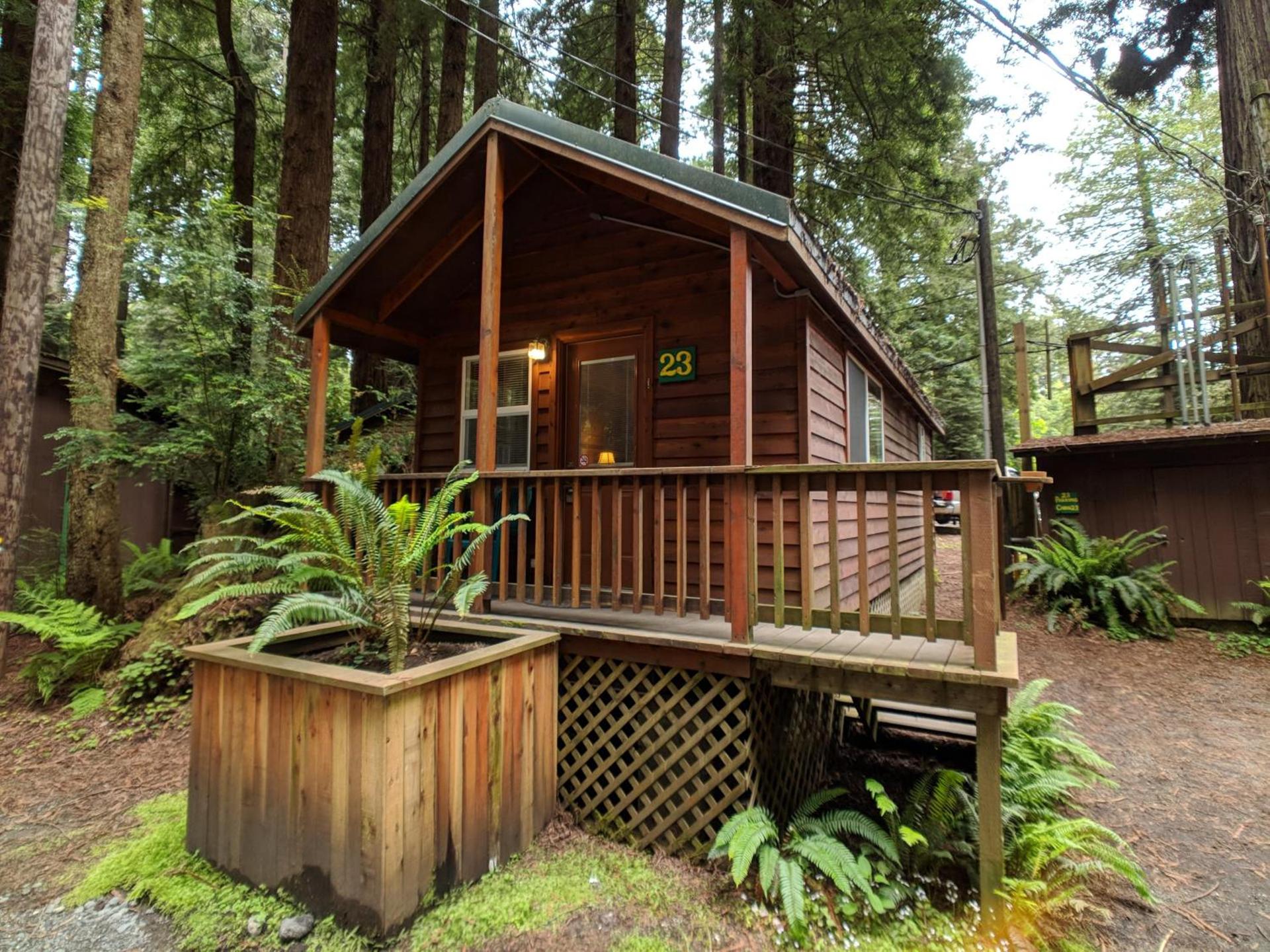 Emerald Forest Cabins photo 18