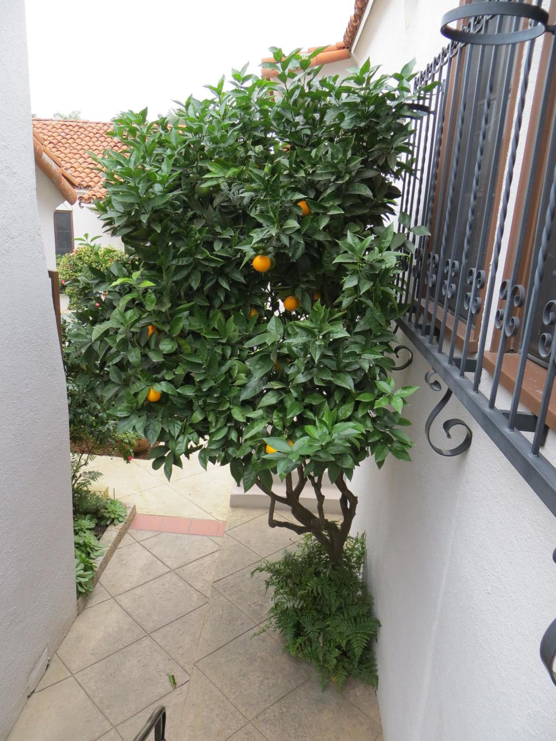 Casa Del Mar Inn photo 32