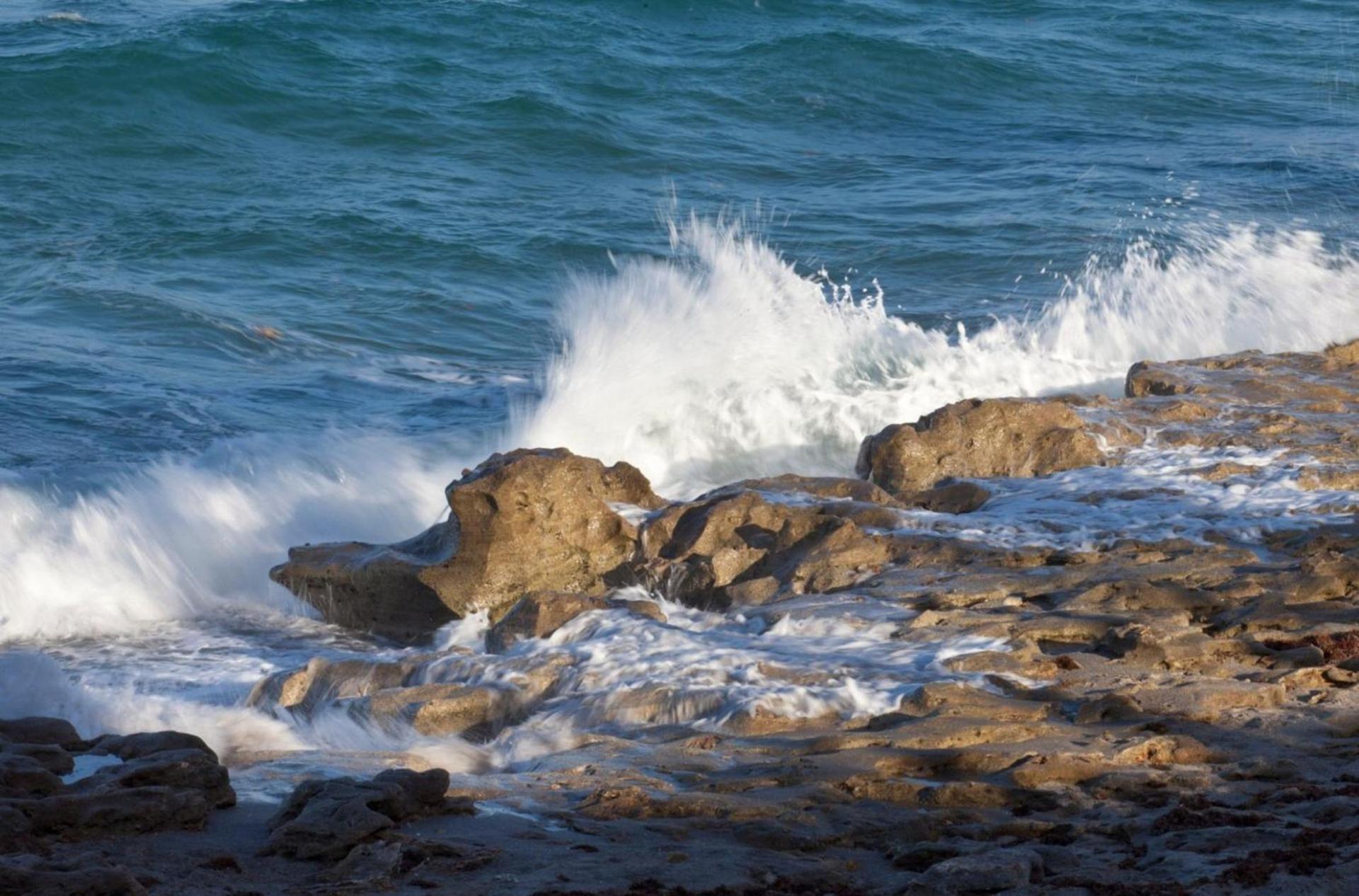 Jupiter Beach Resort & Spa photo 17