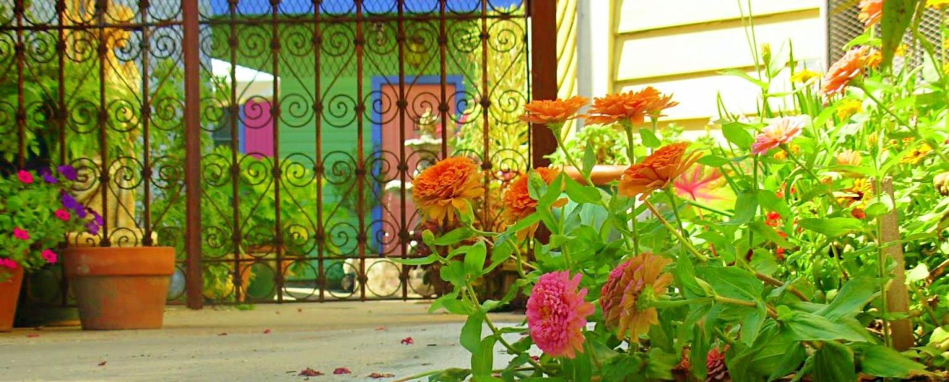 Creole Gardens Guesthouse and Inn photo 46