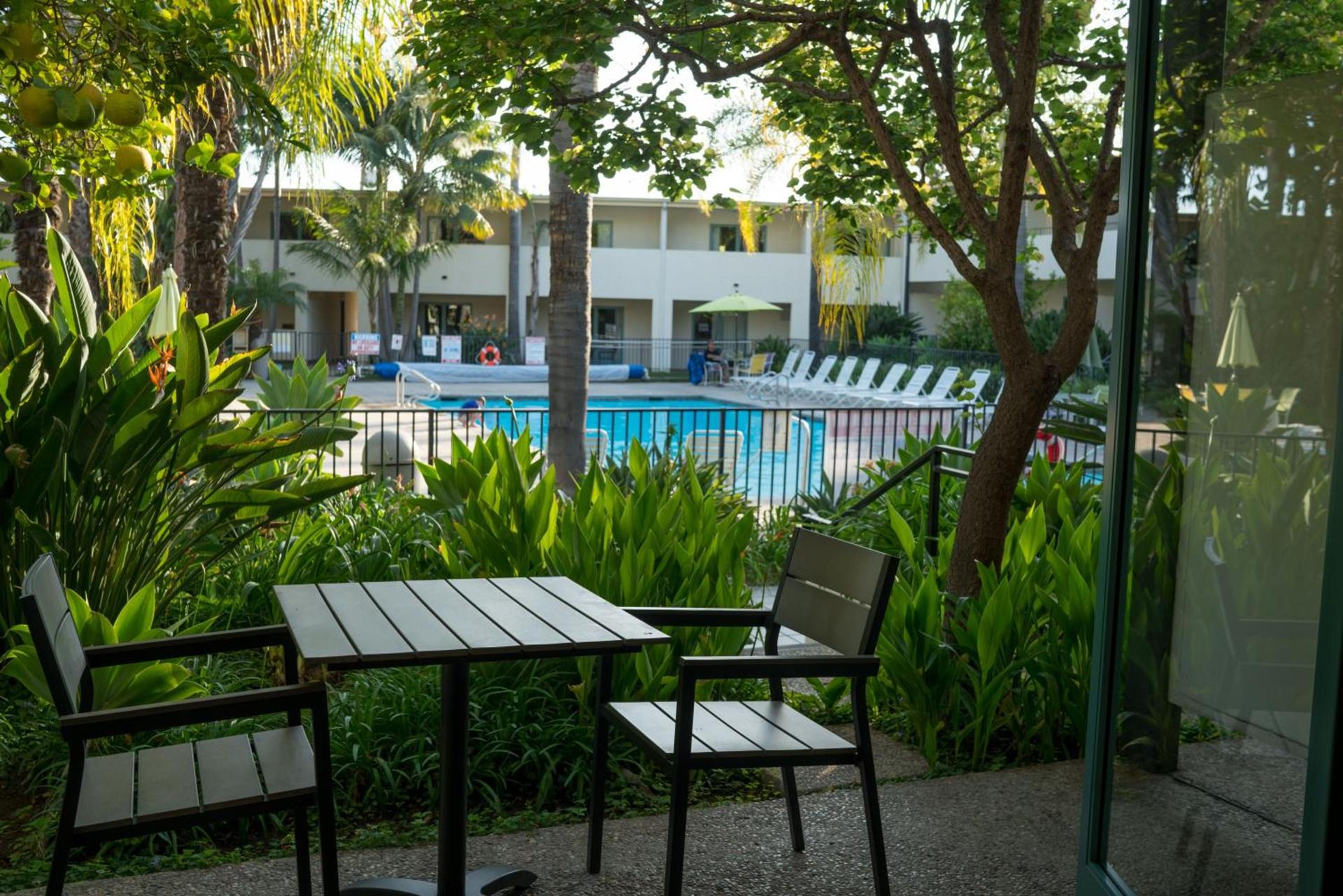 Lemon Tree Inn photo 32