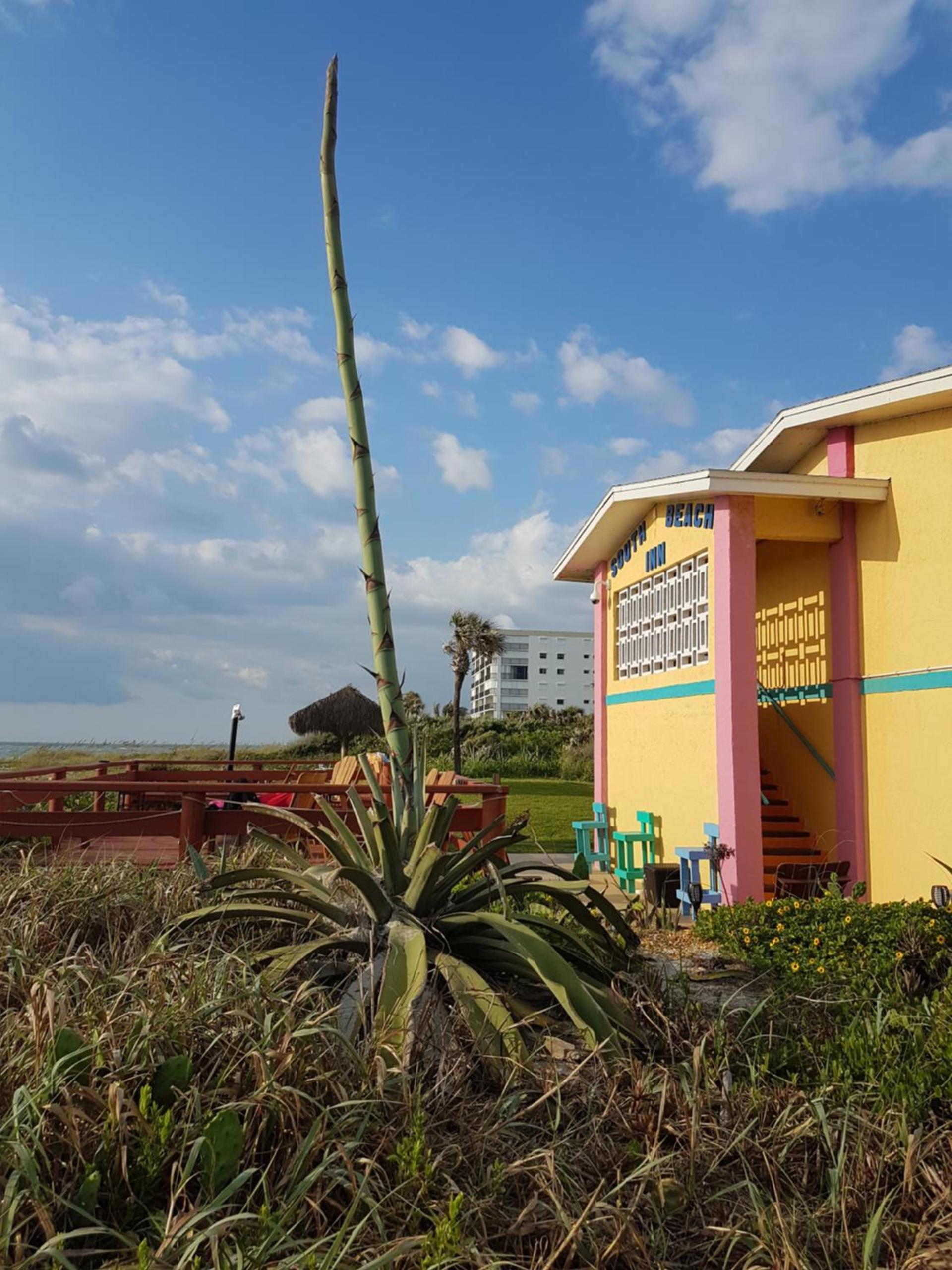 South Beach Inn - Cocoa Beach photo 36